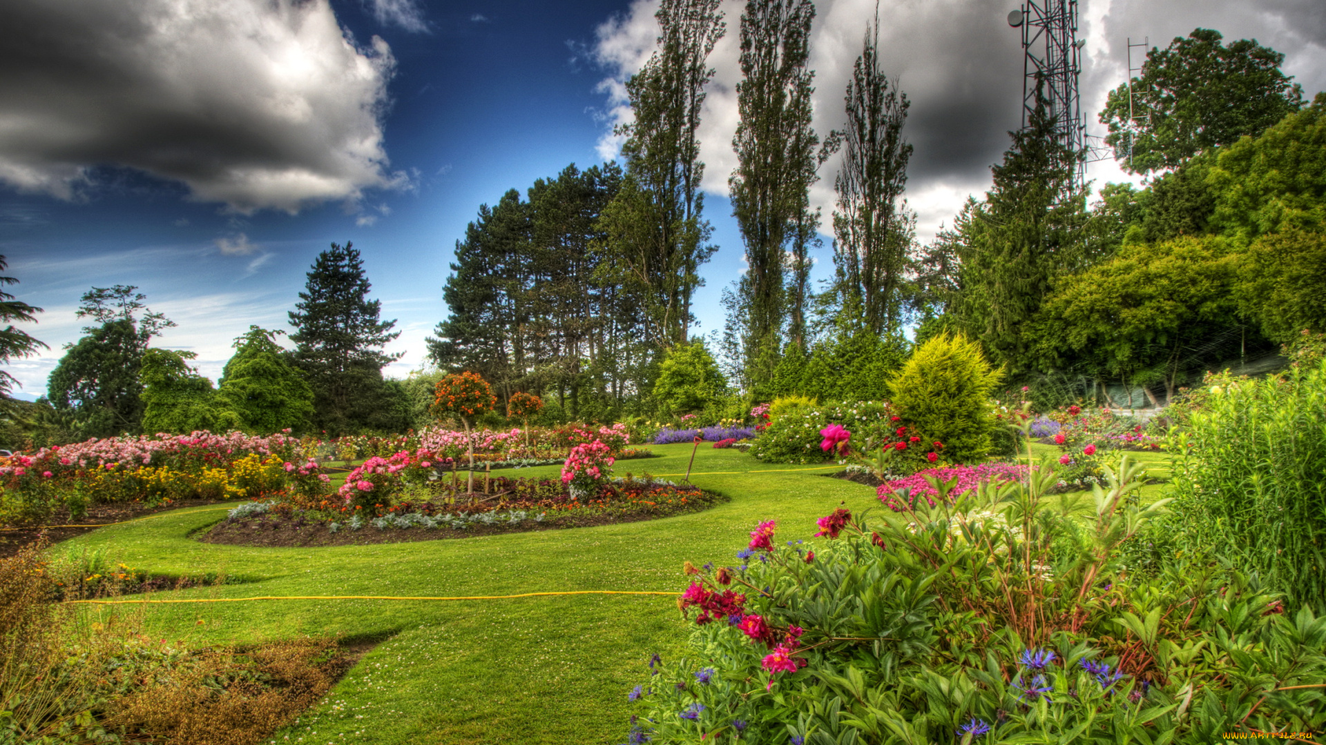 природа, парк, queen, elizabeth, vancouver, канада