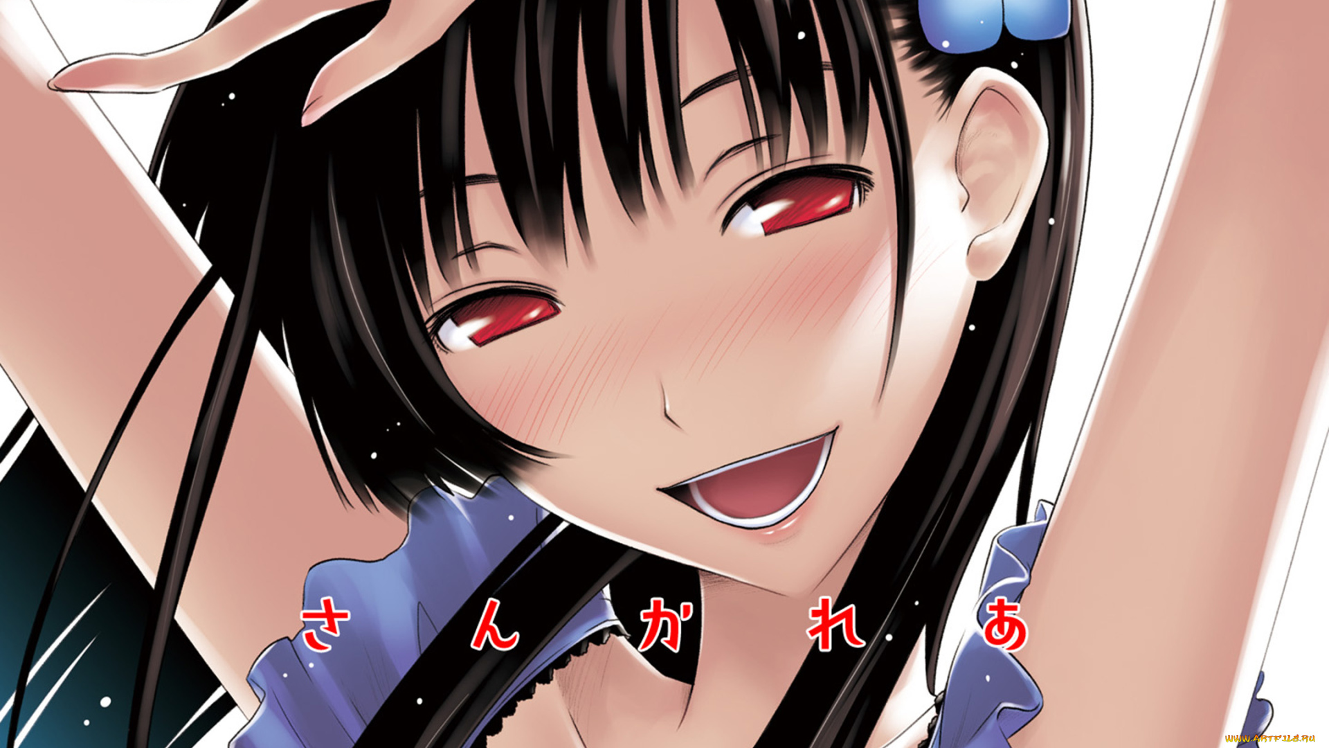 sankarea, аниме