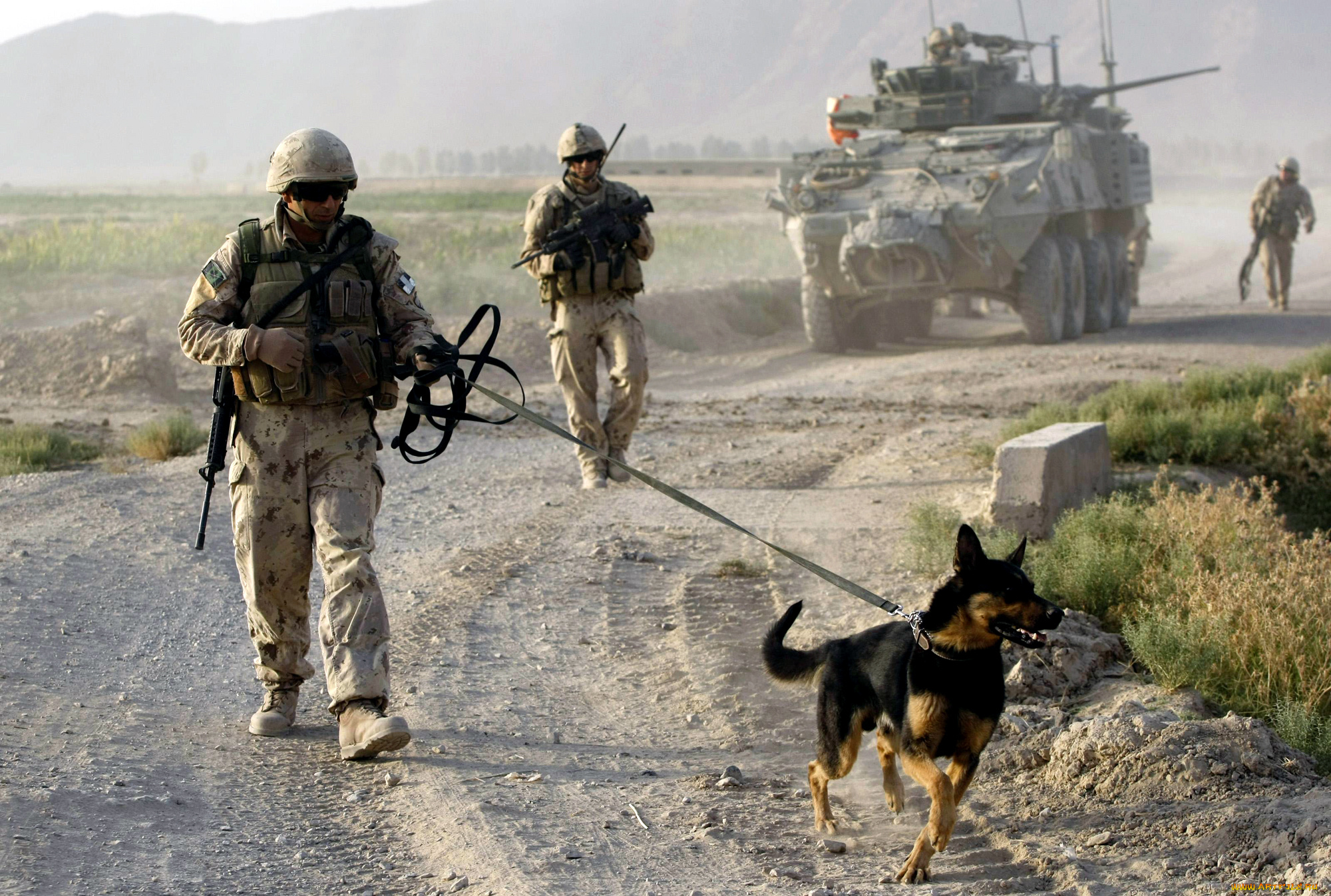 оружие, армия, спецназ, military, army