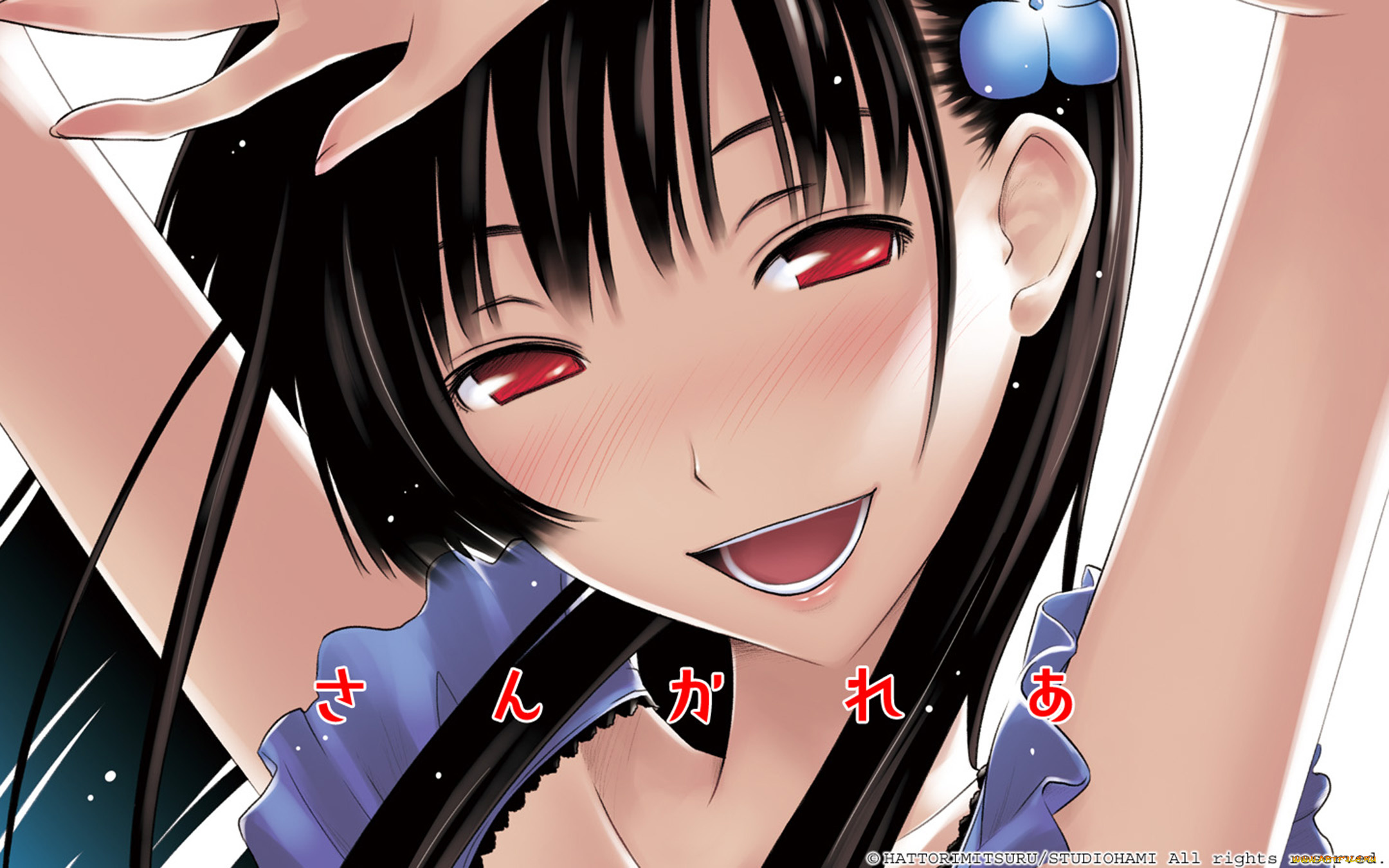 sankarea, аниме