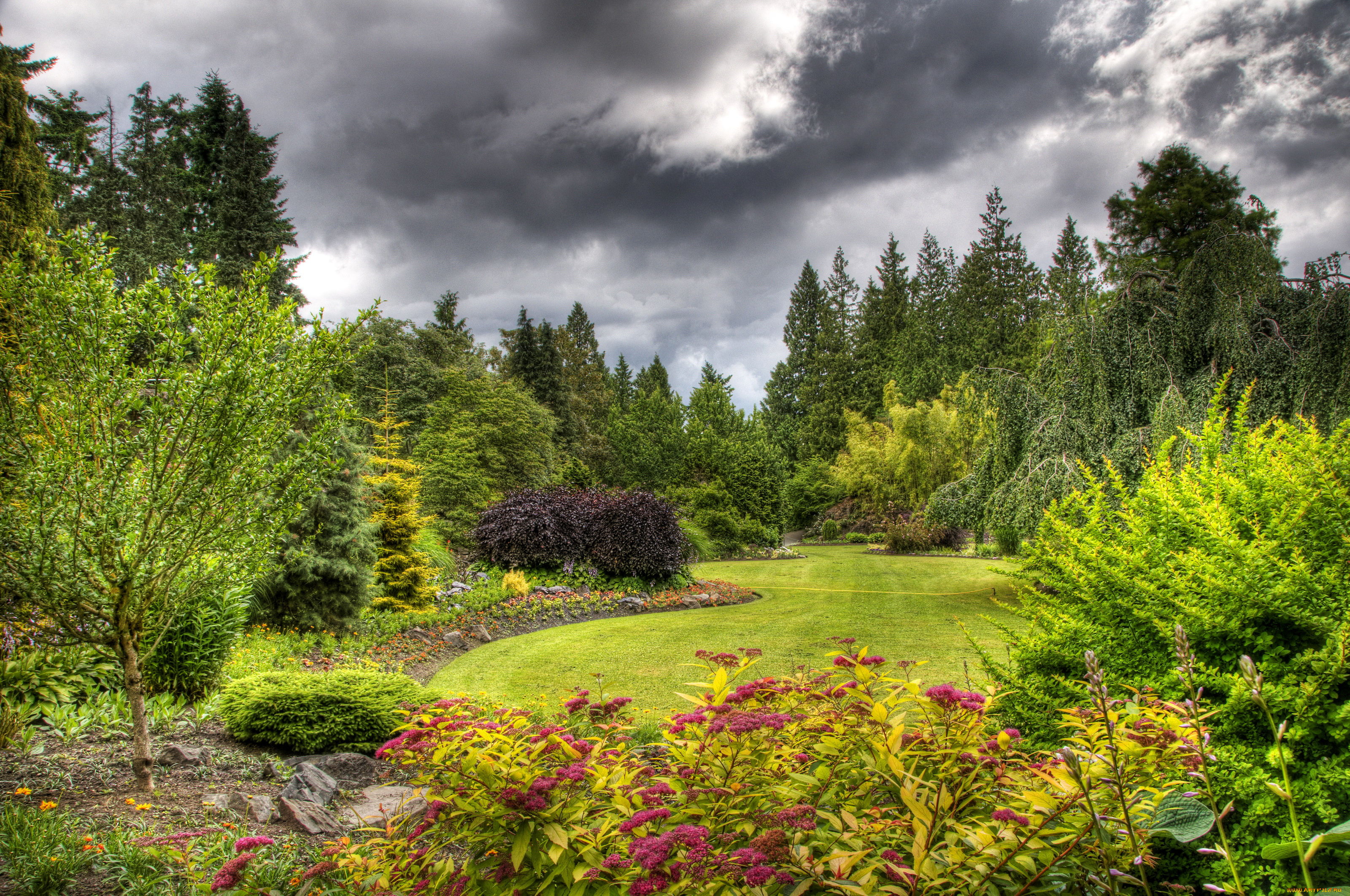 природа, парк, queen, elizabeth, vancouver, канада