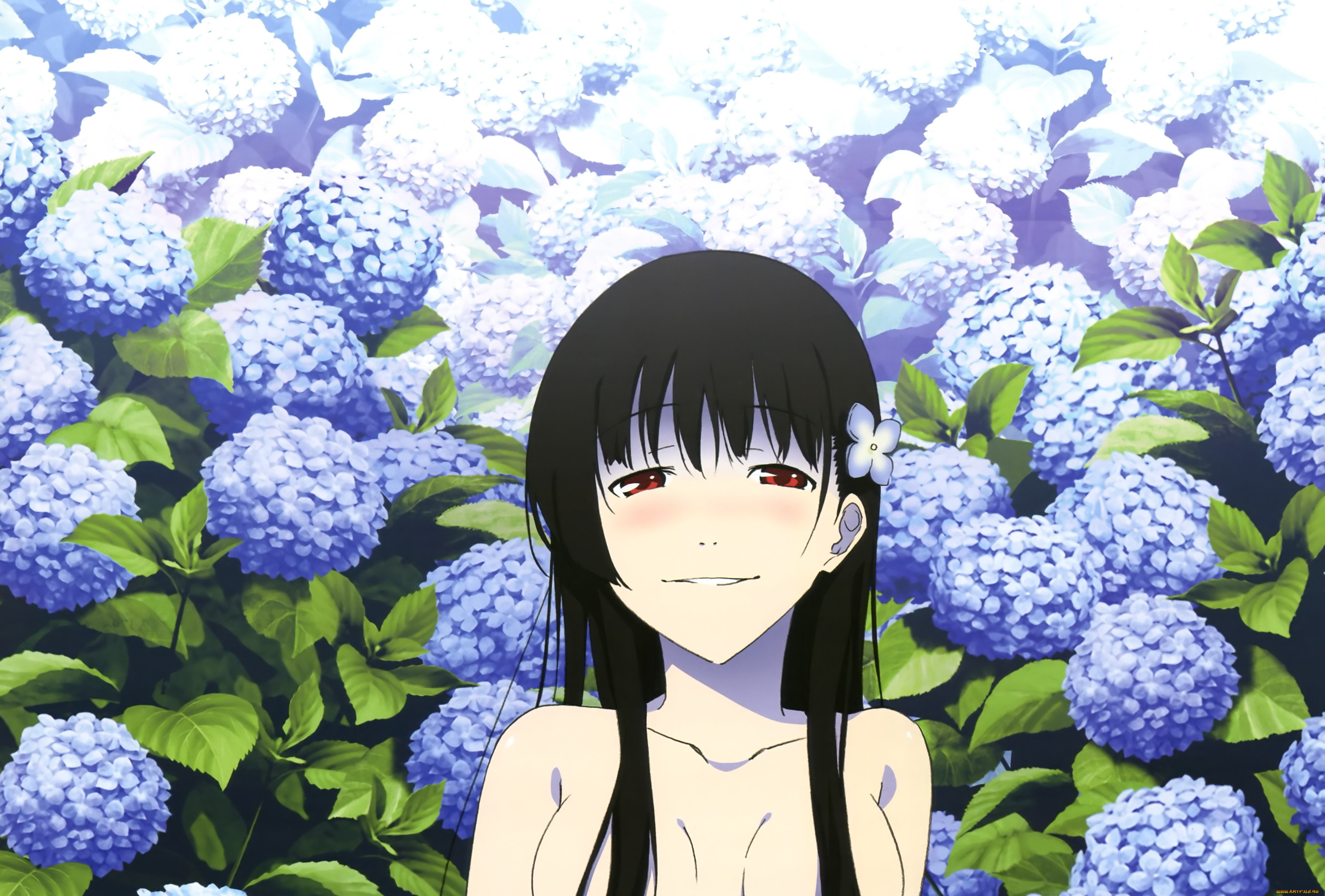 аниме, sankarea