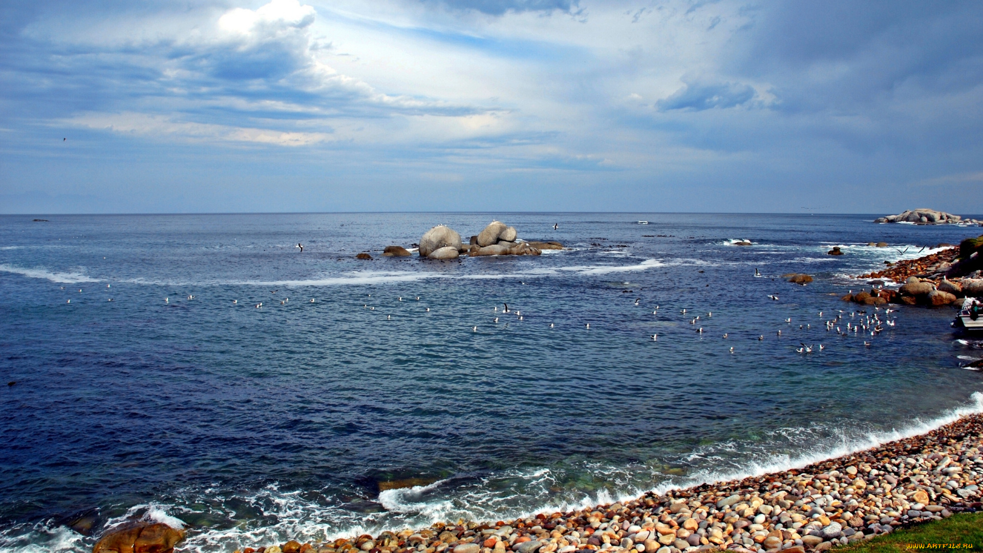 false, bay, south, africa, природа, побережье, чайки, птицы, камни, юар, залив