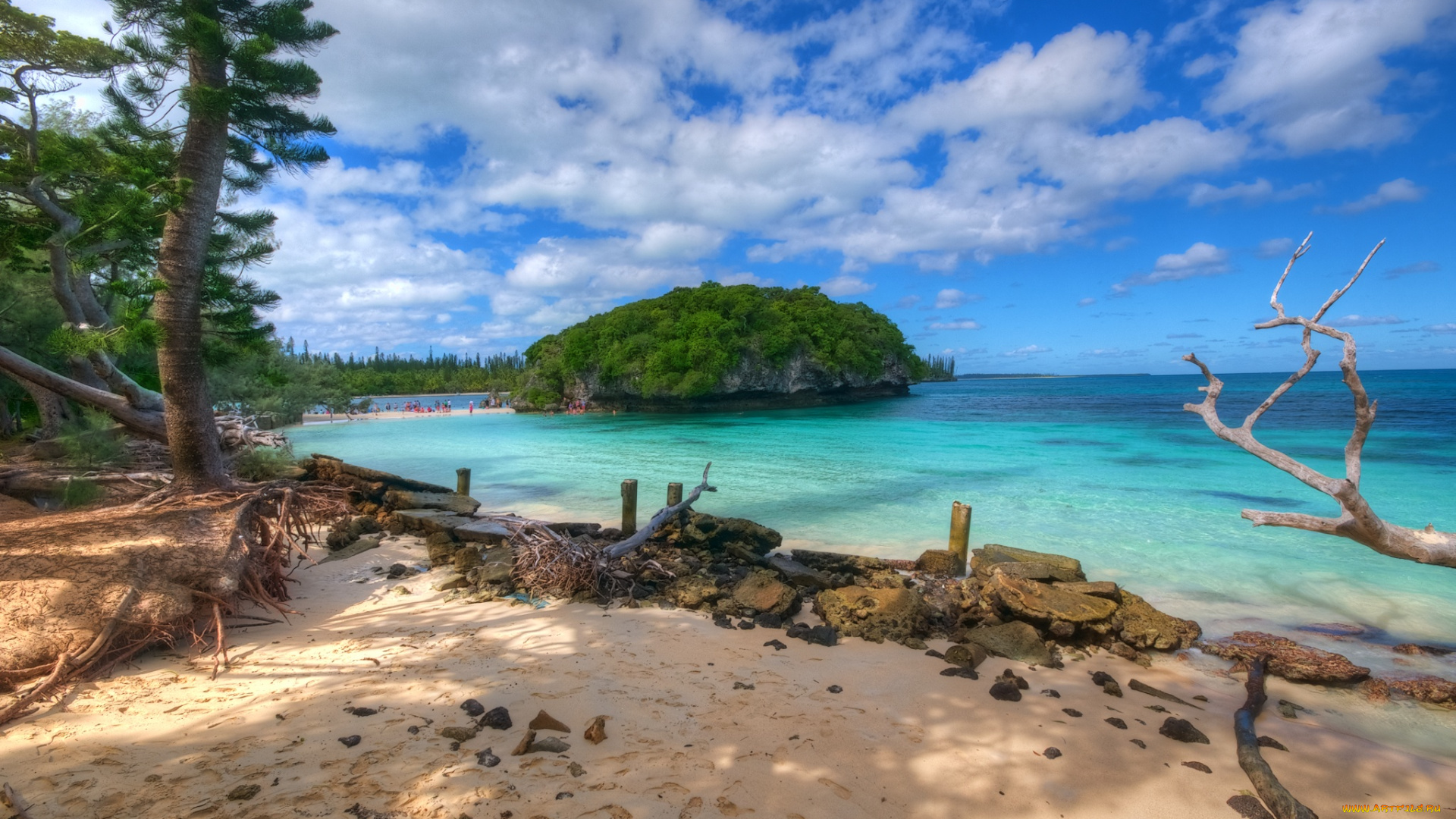 природа, побережье, океан, пляж, островок, лес, горизонт