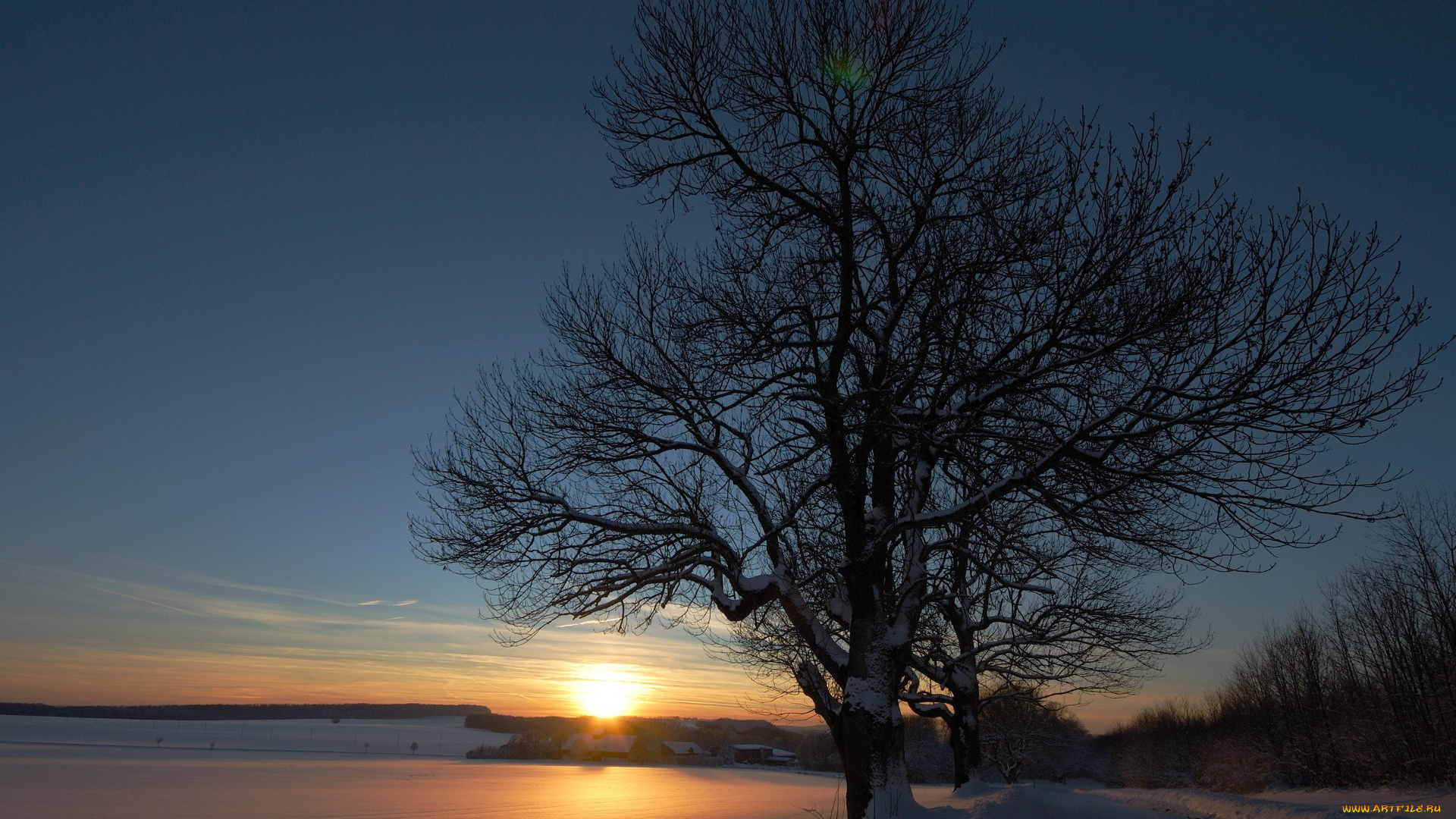 природа, восходы, закаты, поле, дорога, дерево, закат
