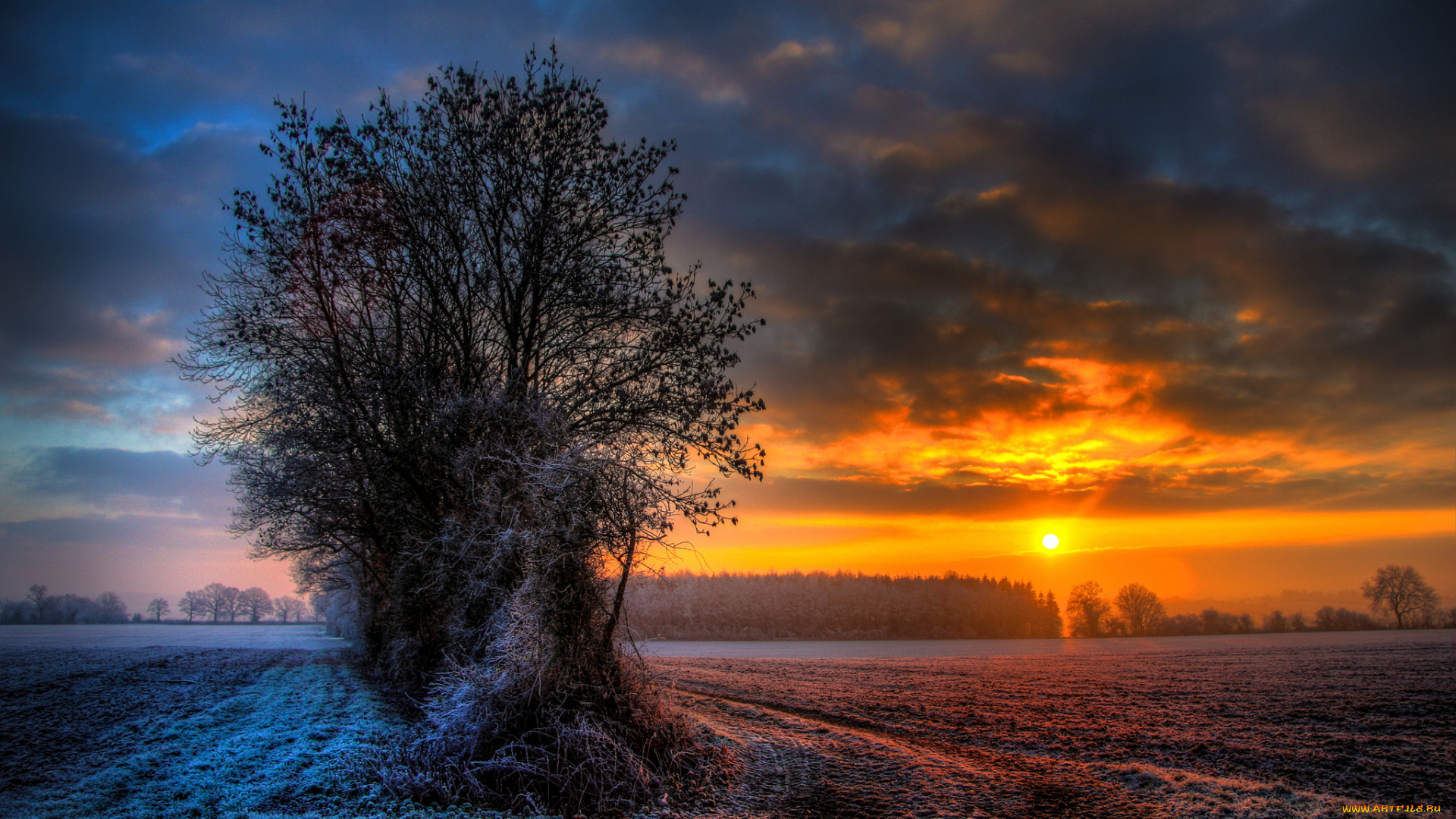 природа, восходы, закаты, поле, закат, деревья
