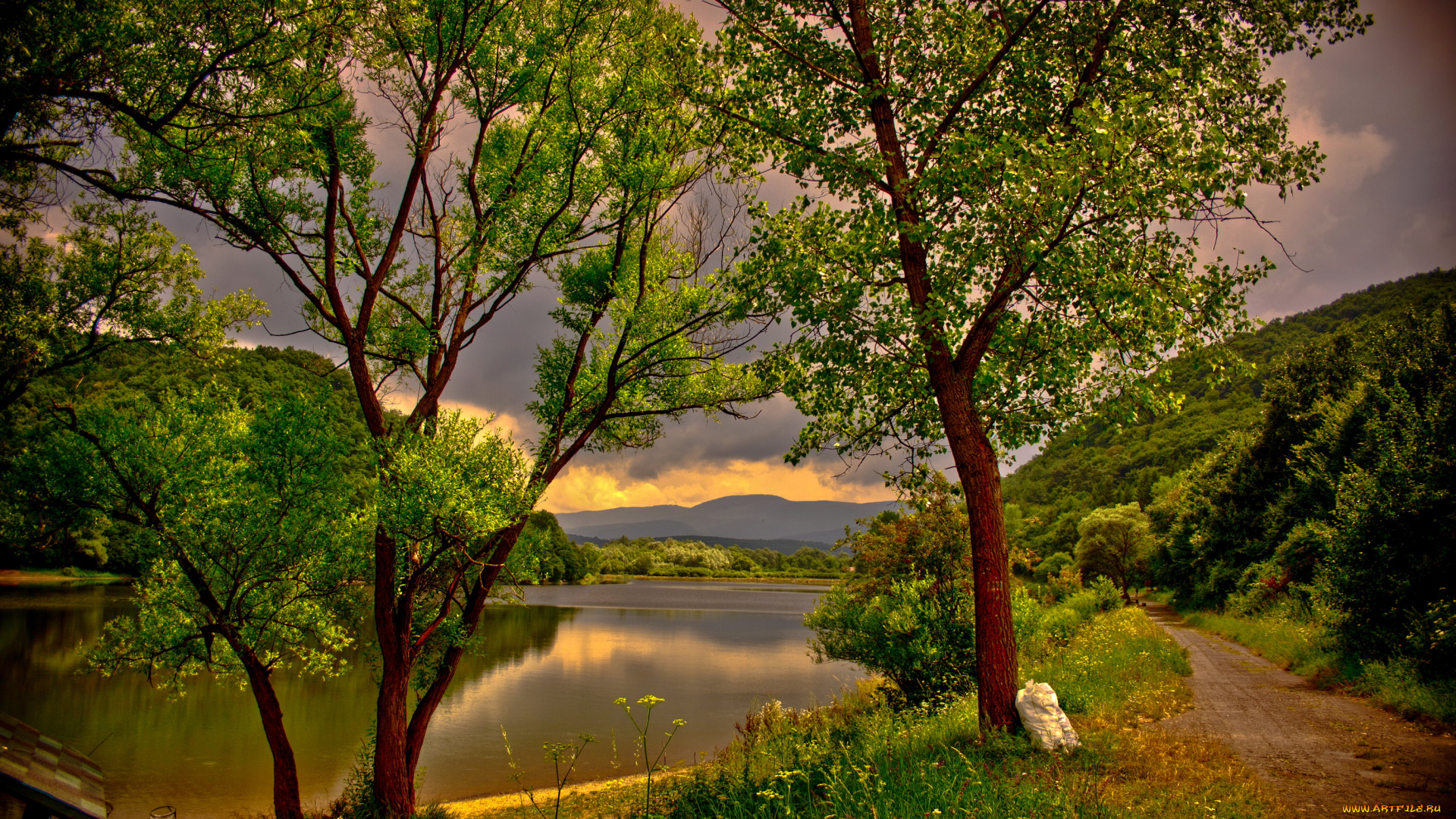 венгрия, dеdestapolcsаny, природа, реки, озера, река, берег, деревья