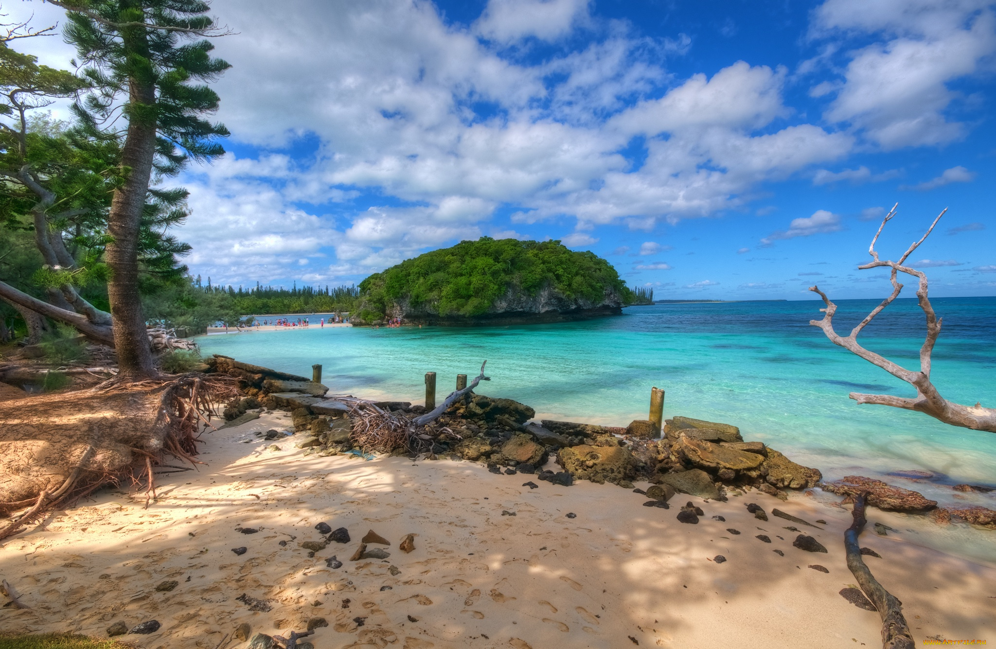 природа, побережье, океан, пляж, островок, лес, горизонт