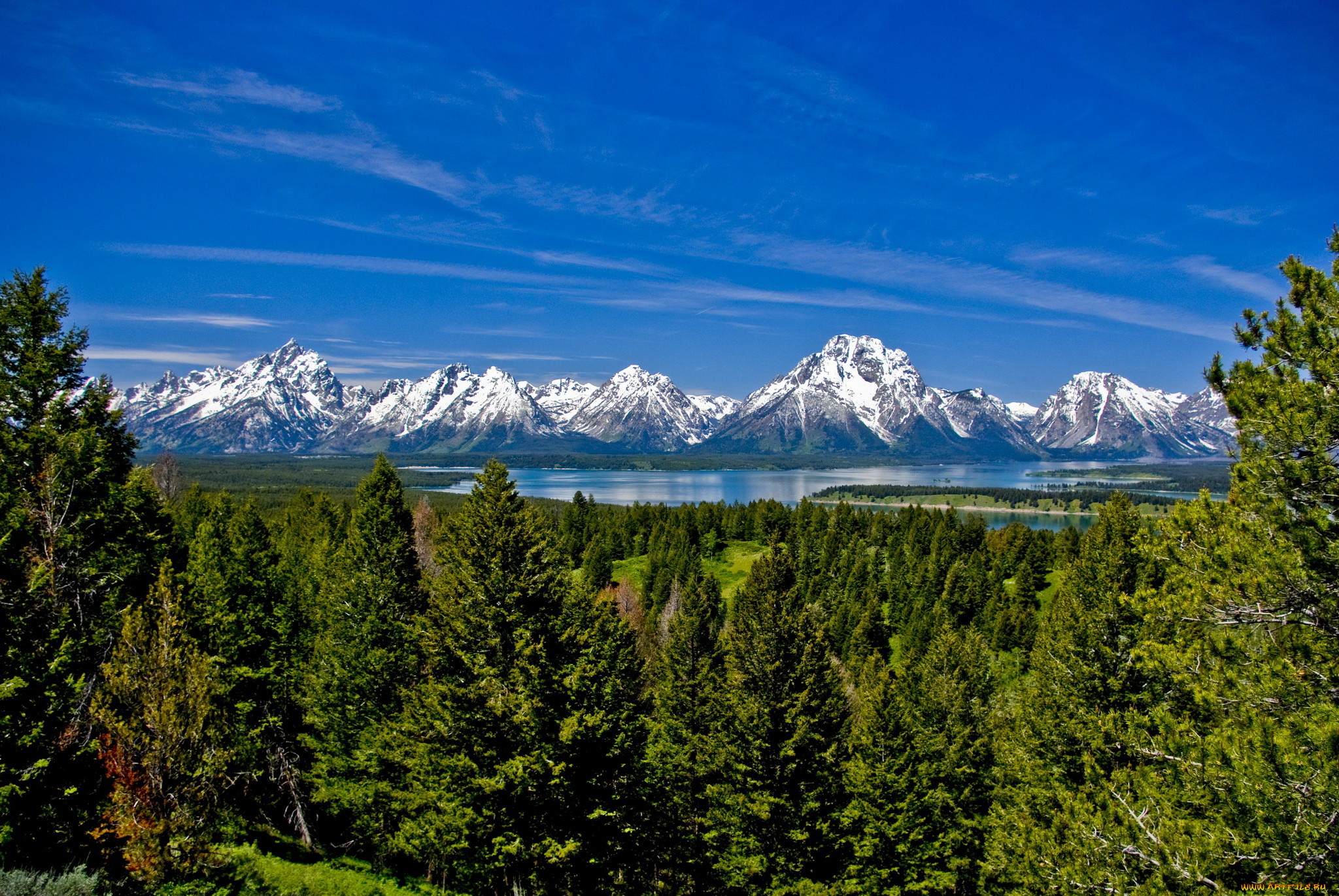 grand, teton, national, park, usa, wyoming, природа, пейзажи, горы, лес, озеро