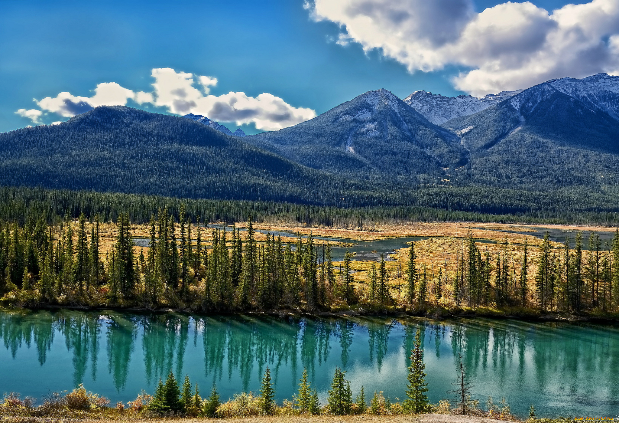 bow, river, alberta, canada, природа, реки, озера, река, боу, альберта, канада, горы, долина, деревья, пейзаж