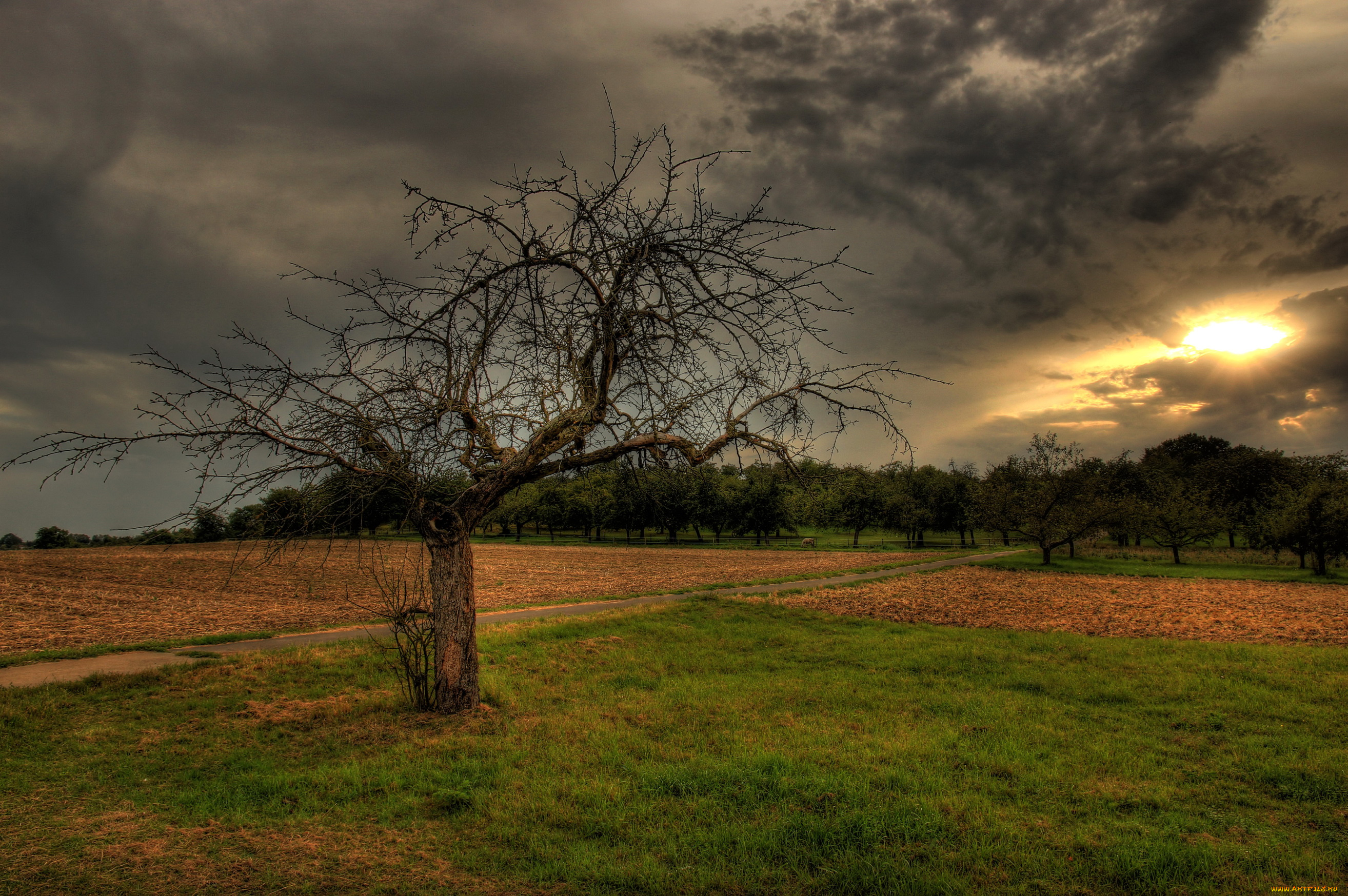 германия, гессен, хунген, природа, пейзажи, пейзаж