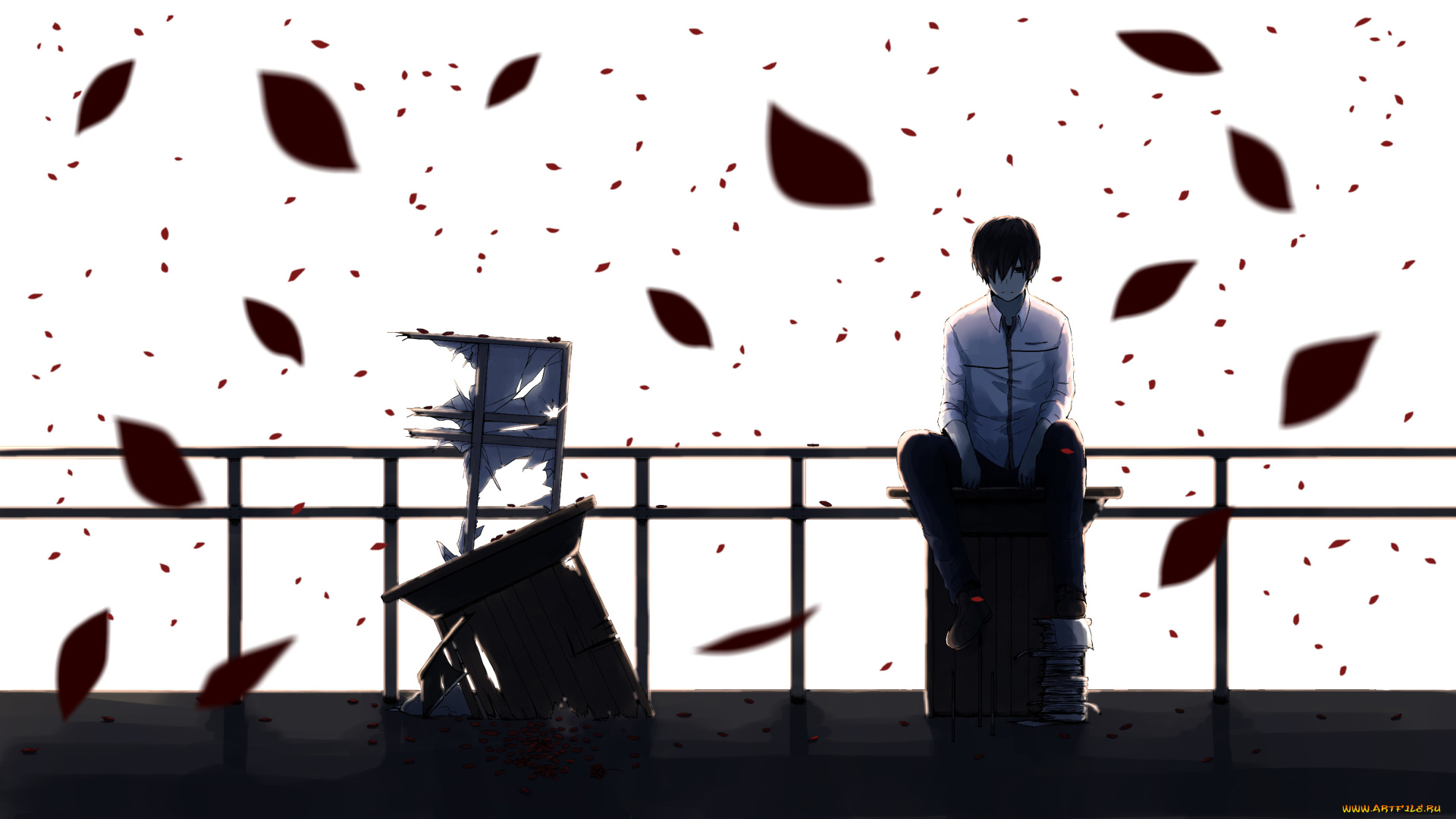 аниме, *unknown, , другое, книги, лепестки, белый, фон, сидит, парень