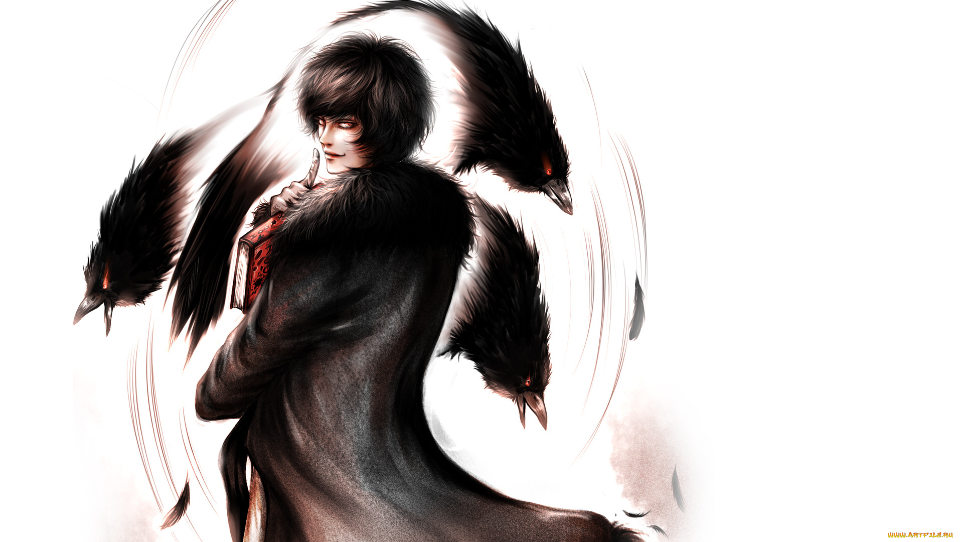 аниме, *unknown, , другое, птицы, парень, вороны, перья, белый, фон, книга