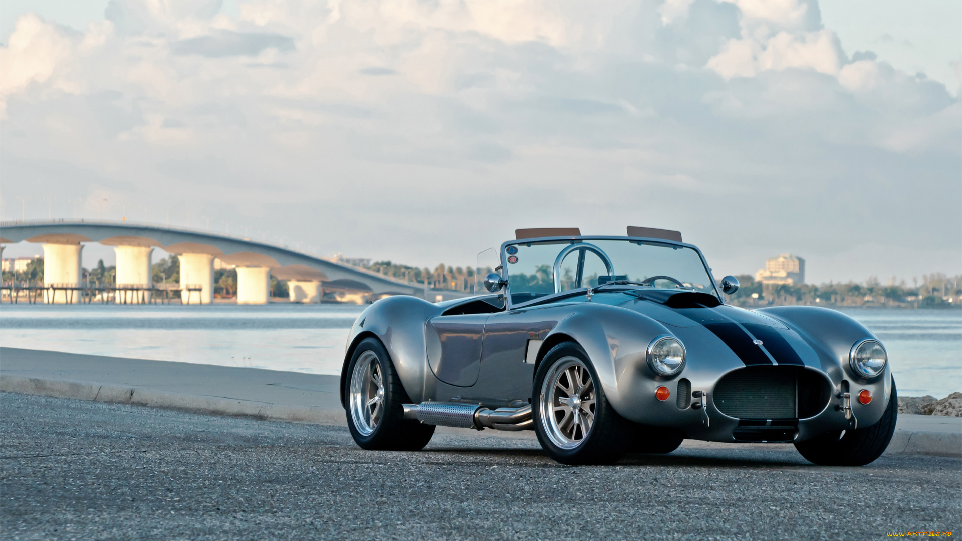 автомобили, ac, cobra, shelby, cobra