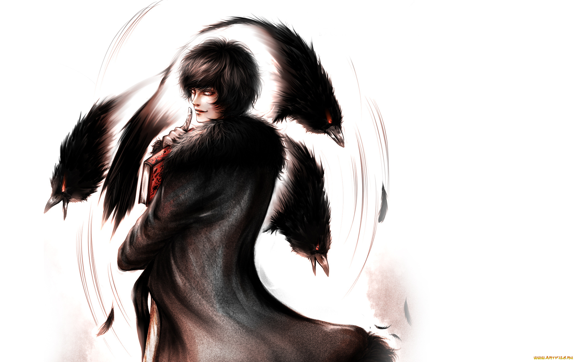 аниме, *unknown, , другое, птицы, парень, вороны, перья, белый, фон, книга