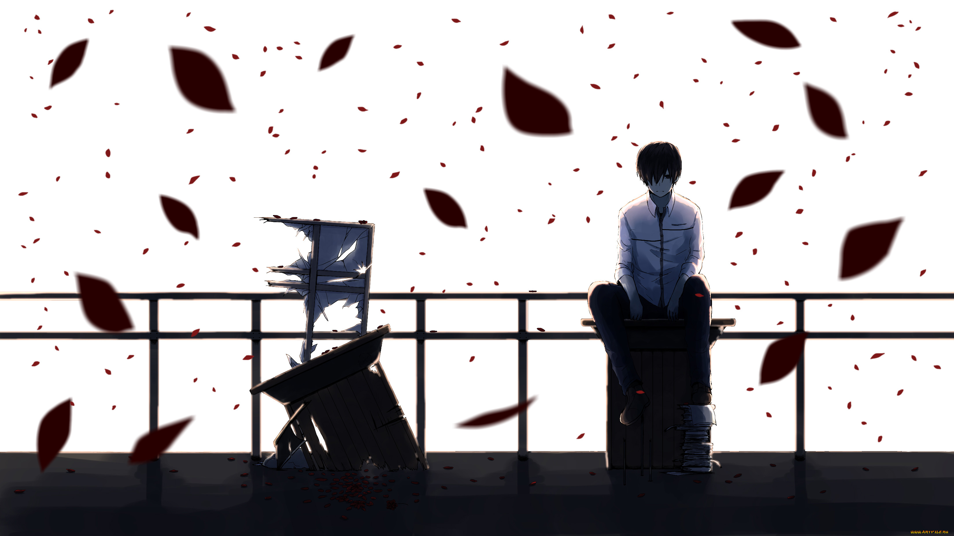 аниме, *unknown, , другое, книги, лепестки, белый, фон, сидит, парень