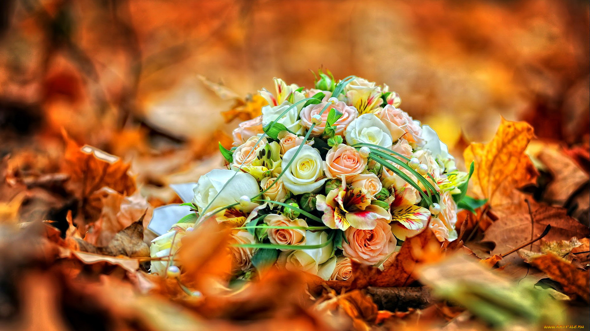 цветы, букеты, , композиции, розы, альстромерия