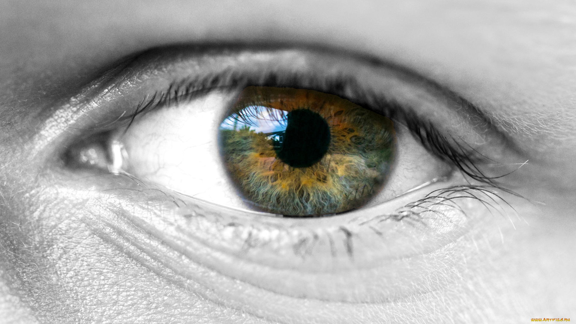 разное, глаза, глаз, зрачок, лицо
