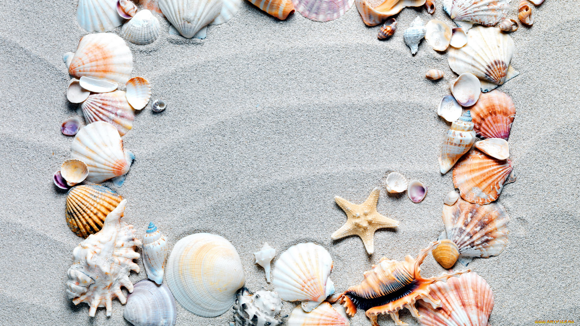 разное, ракушки, , кораллы, , декоративные, и, spa-камни, много, песок