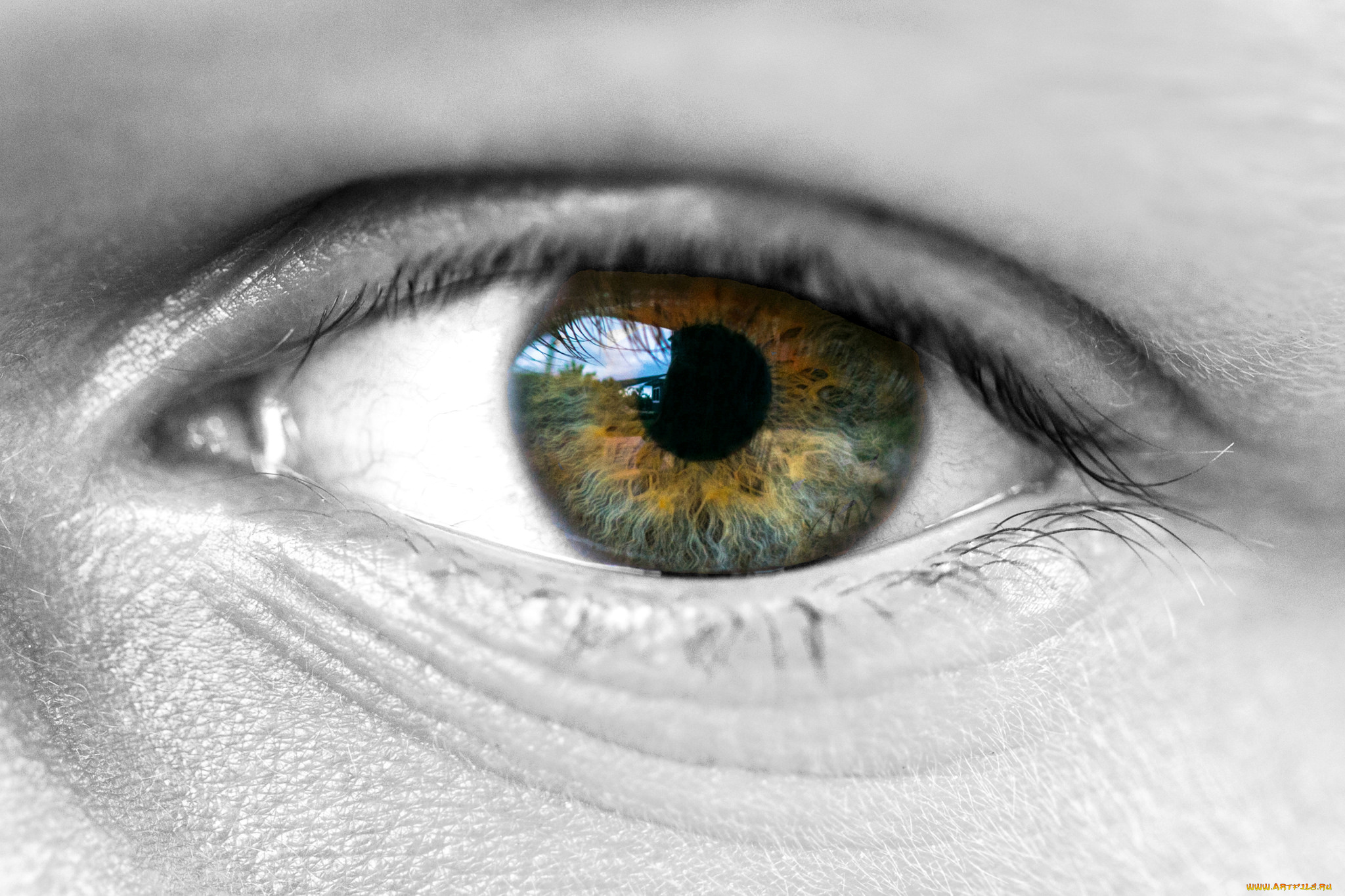 разное, глаза, глаз, зрачок, лицо