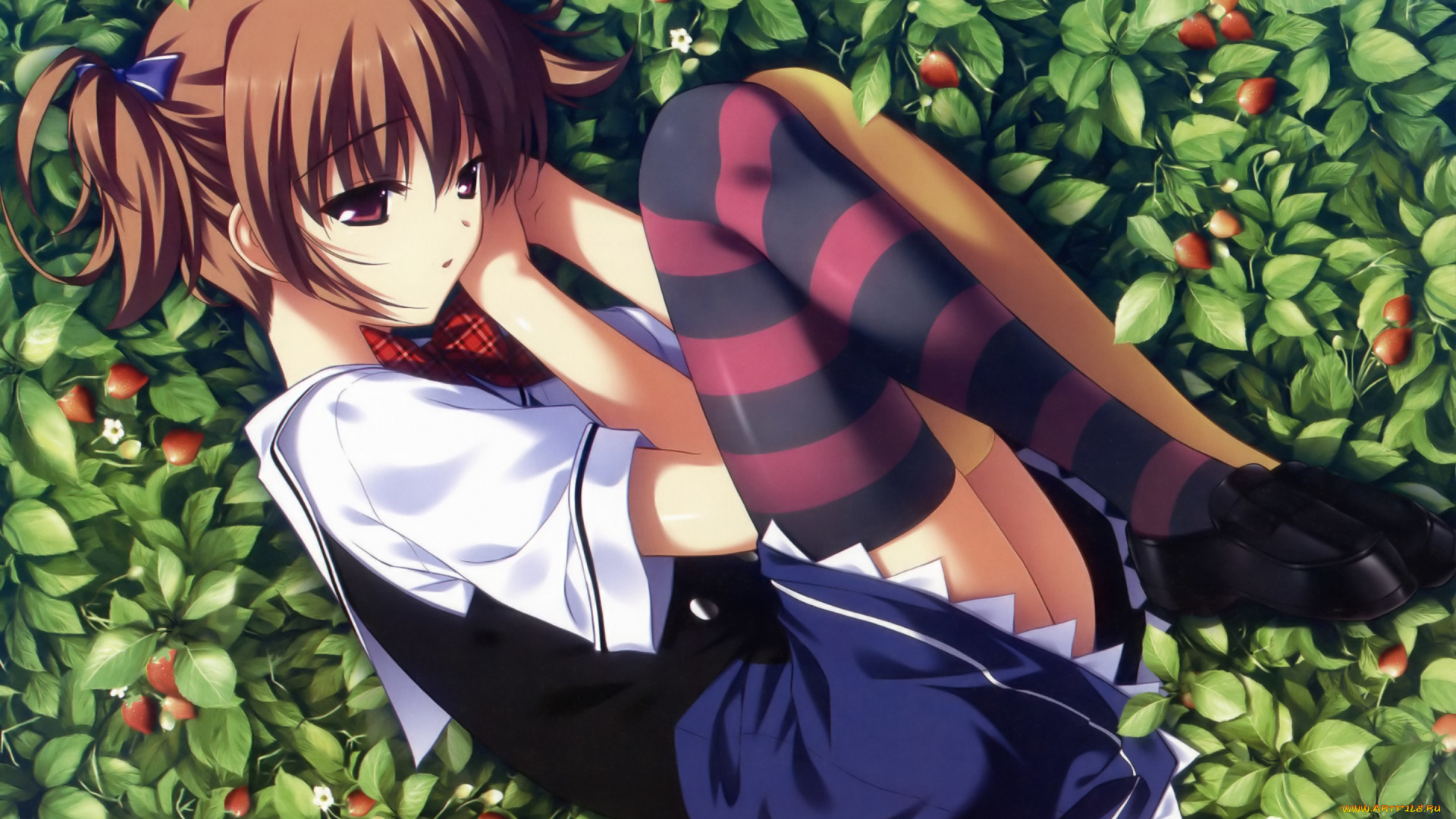 аниме, grisaia, no, kajitsu, art, fumio, grisaia, no, kajitsu, makina, irisu, земляника, ягоды, полосатые, чулки, школьница