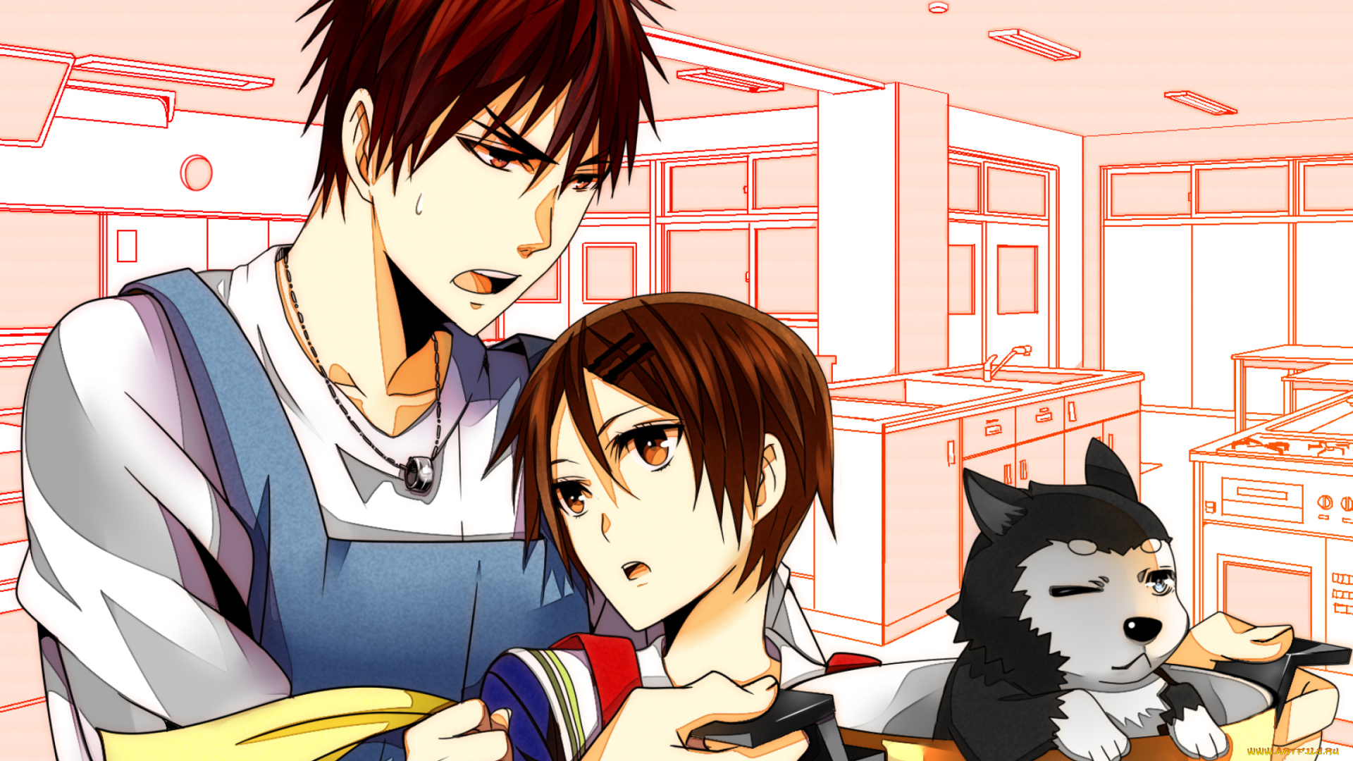 аниме, kuroko, no, baske, собака, тайга, кагами, девушка