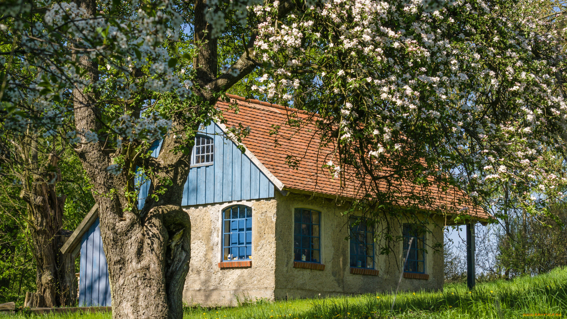 города, -, здания, , дома, дом, загородный