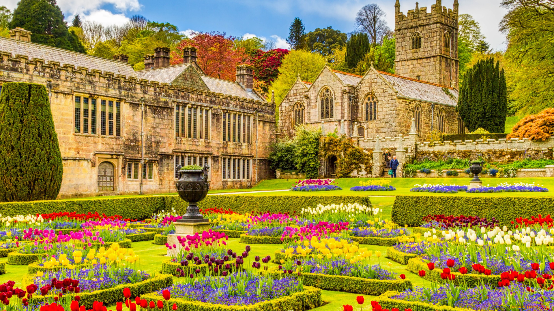 города, замки, англии, лангайдрок, корнуолл, англия, особняк, церковь, сад, цветы