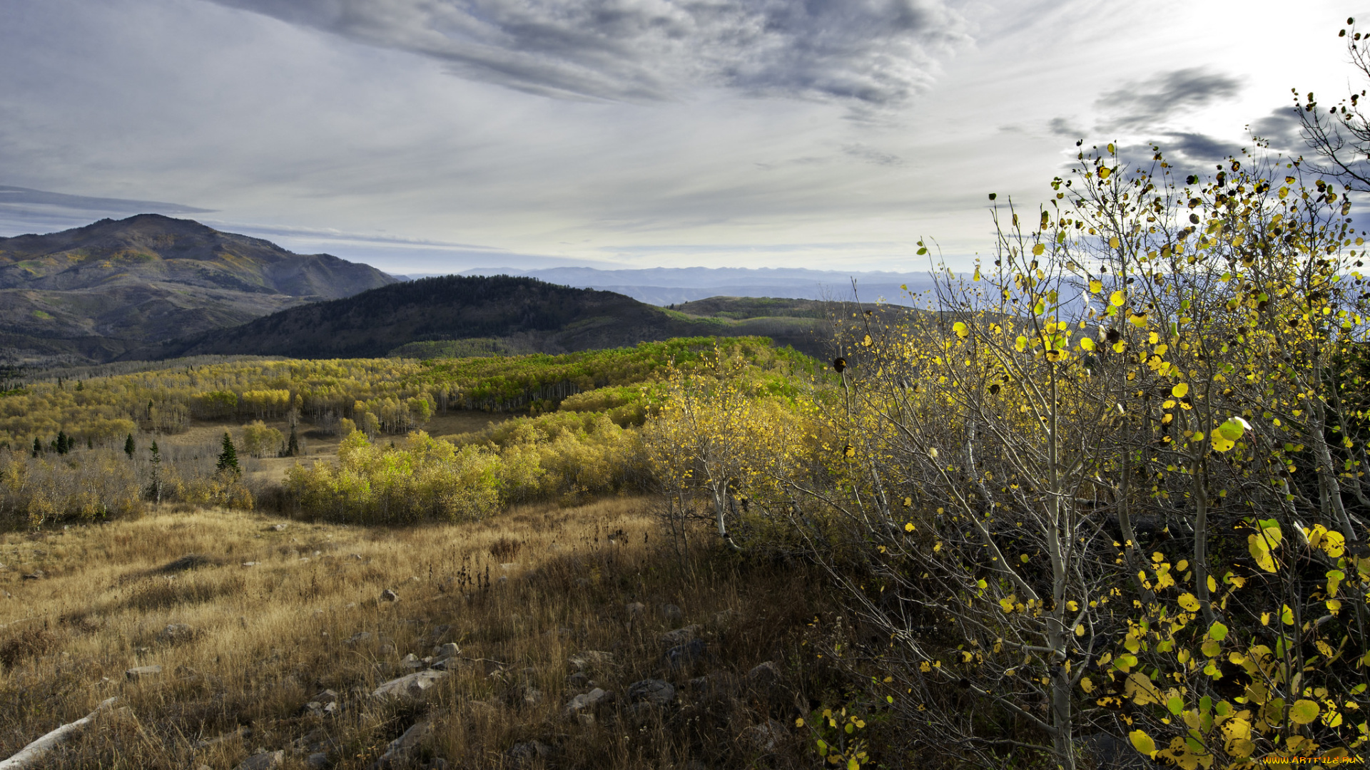 природа, пейзажи, равнина