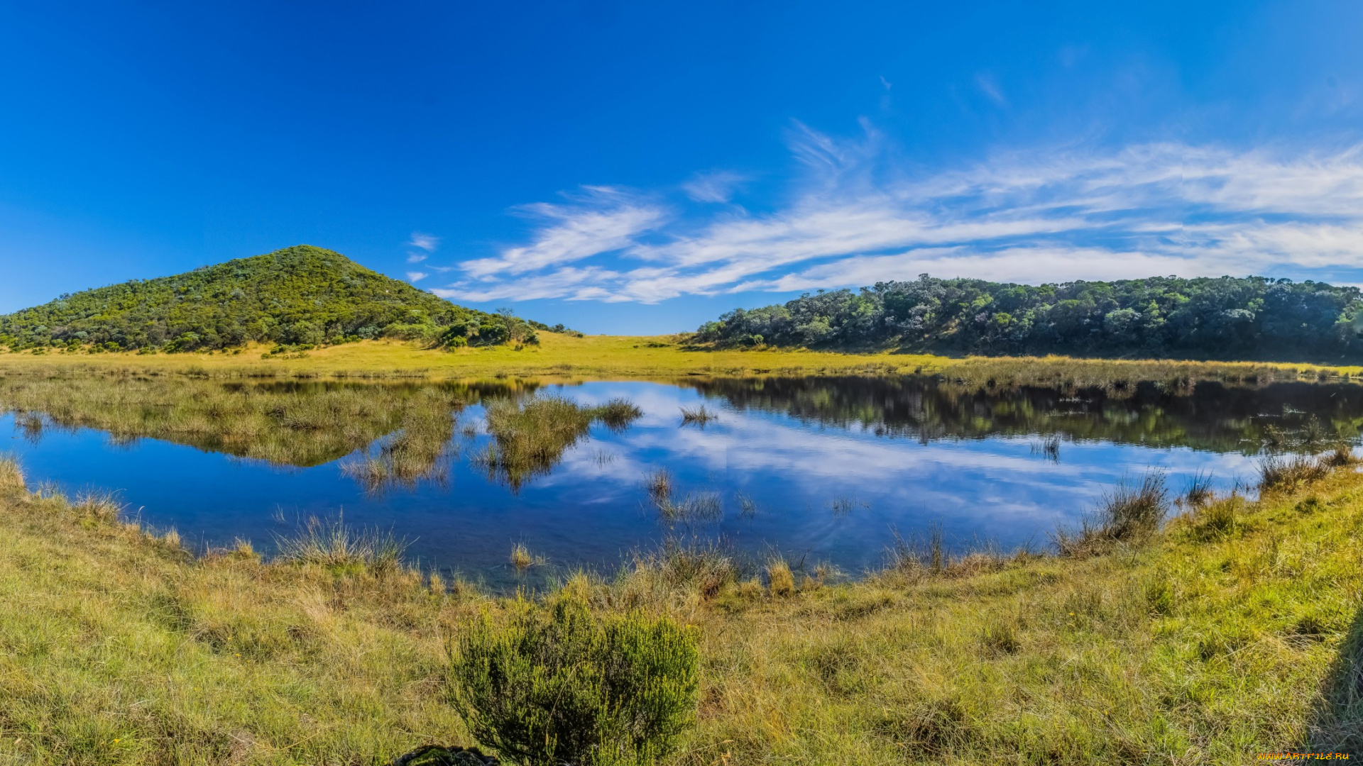 природа, реки, озера, река, лес