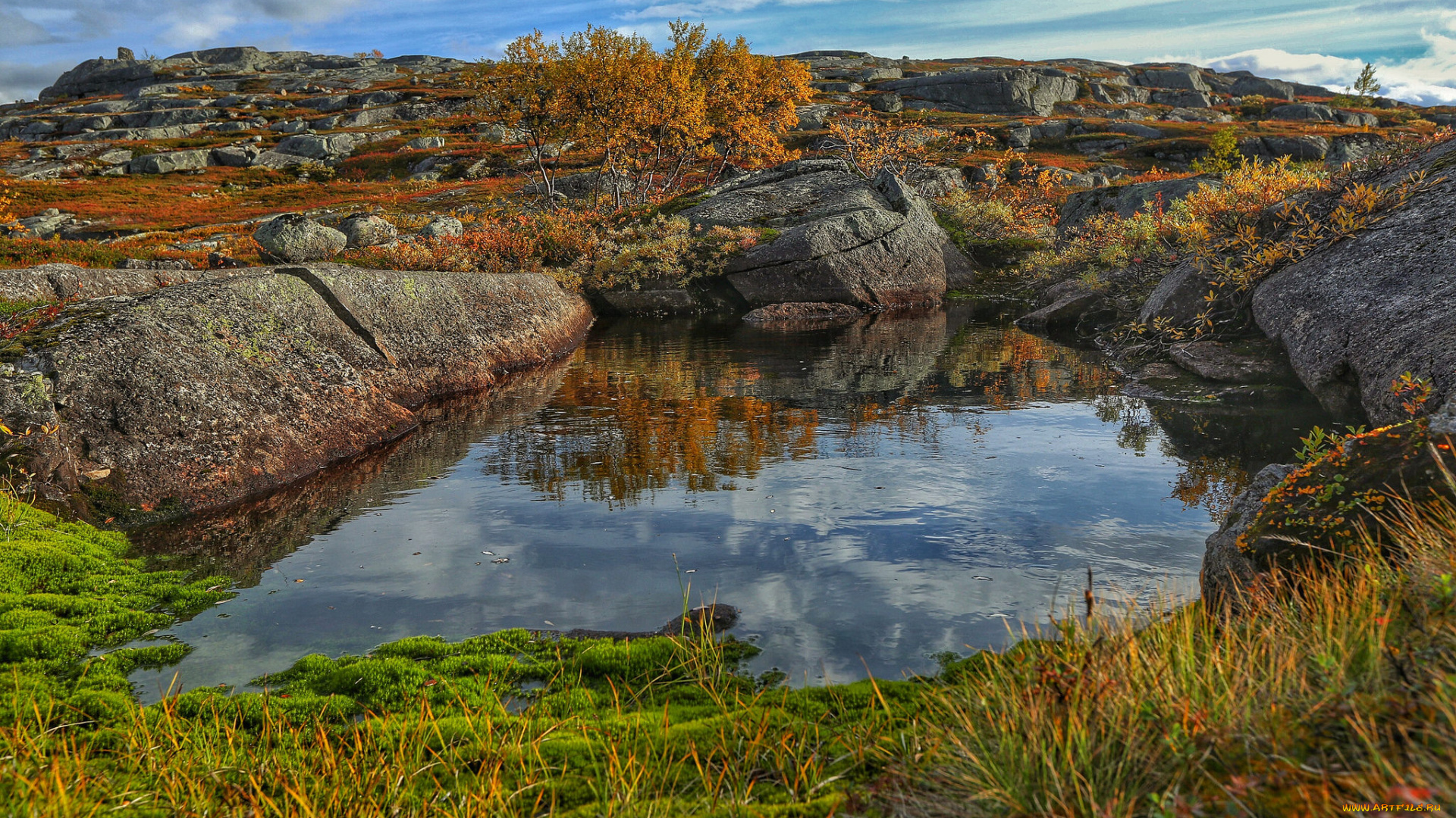 природа, реки, озера, река, лес