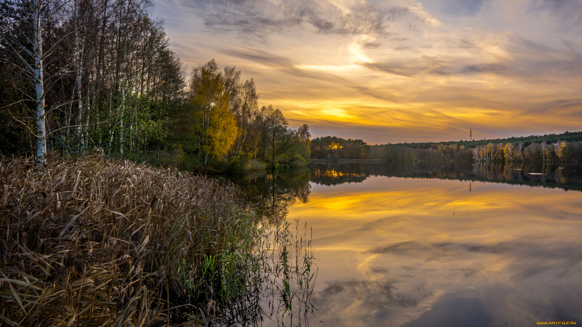 природа, реки, озера, река, лес