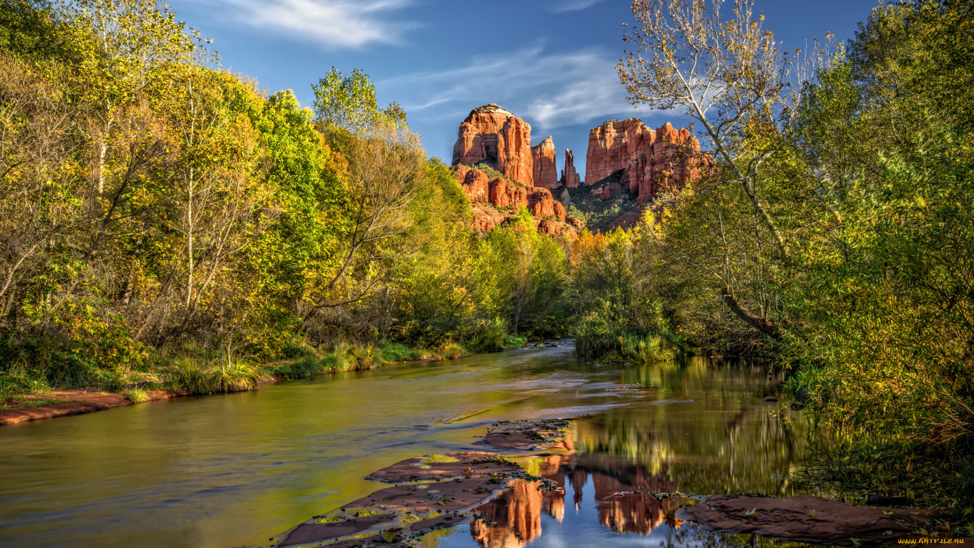 природа, реки, озера, река, лес