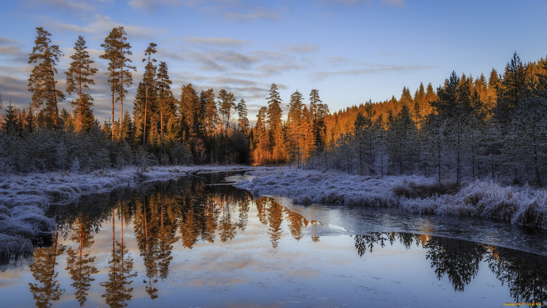 природа, реки, озера, река, лес