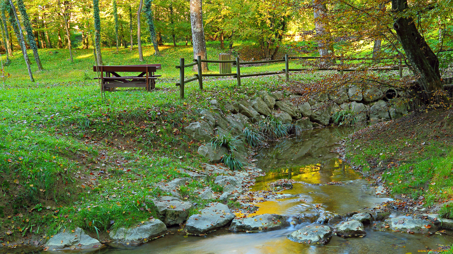 природа, реки, озера, река, лес