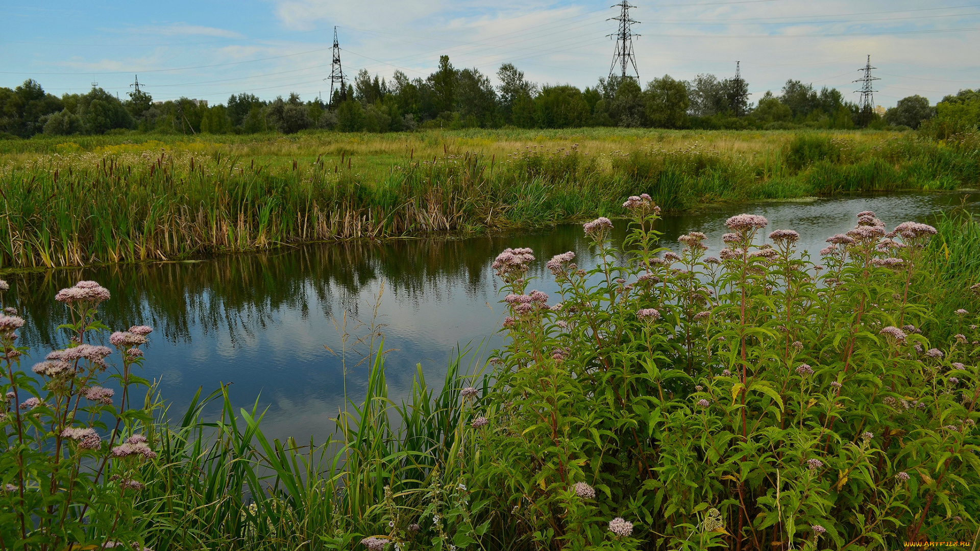 природа, реки, озера, река, лес