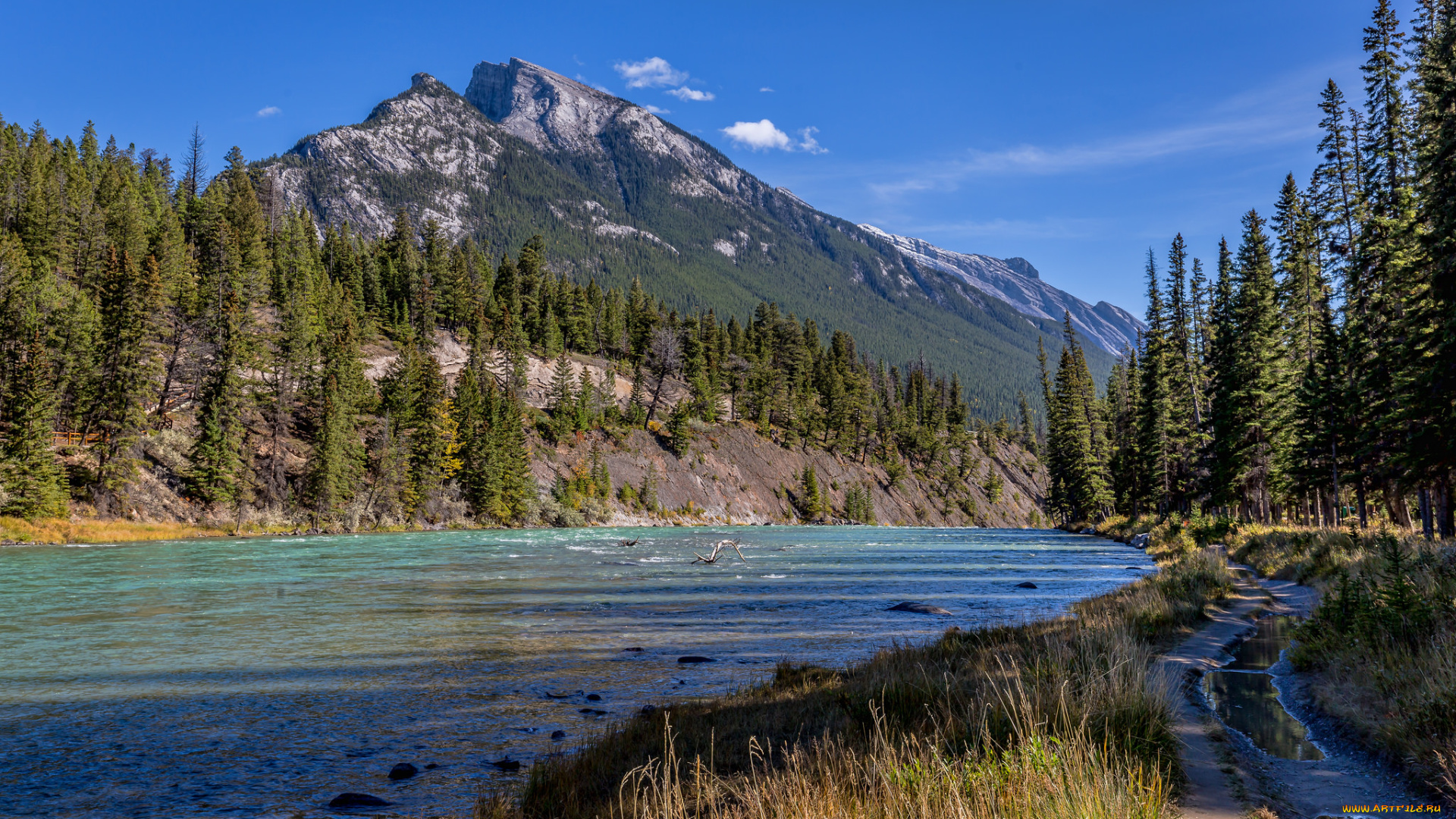 природа, реки, озера, река, лес