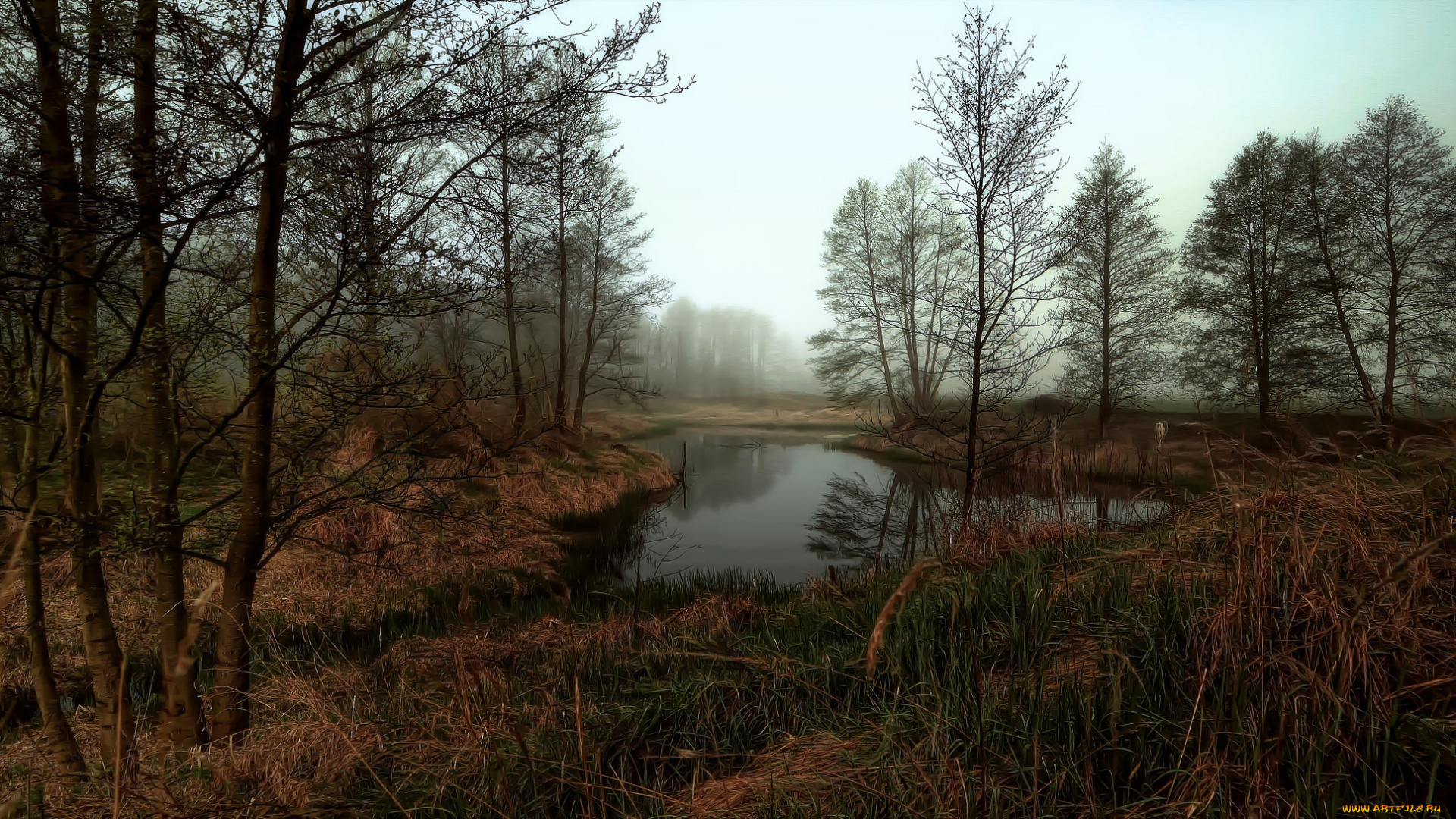 природа, реки, озера, река, лес