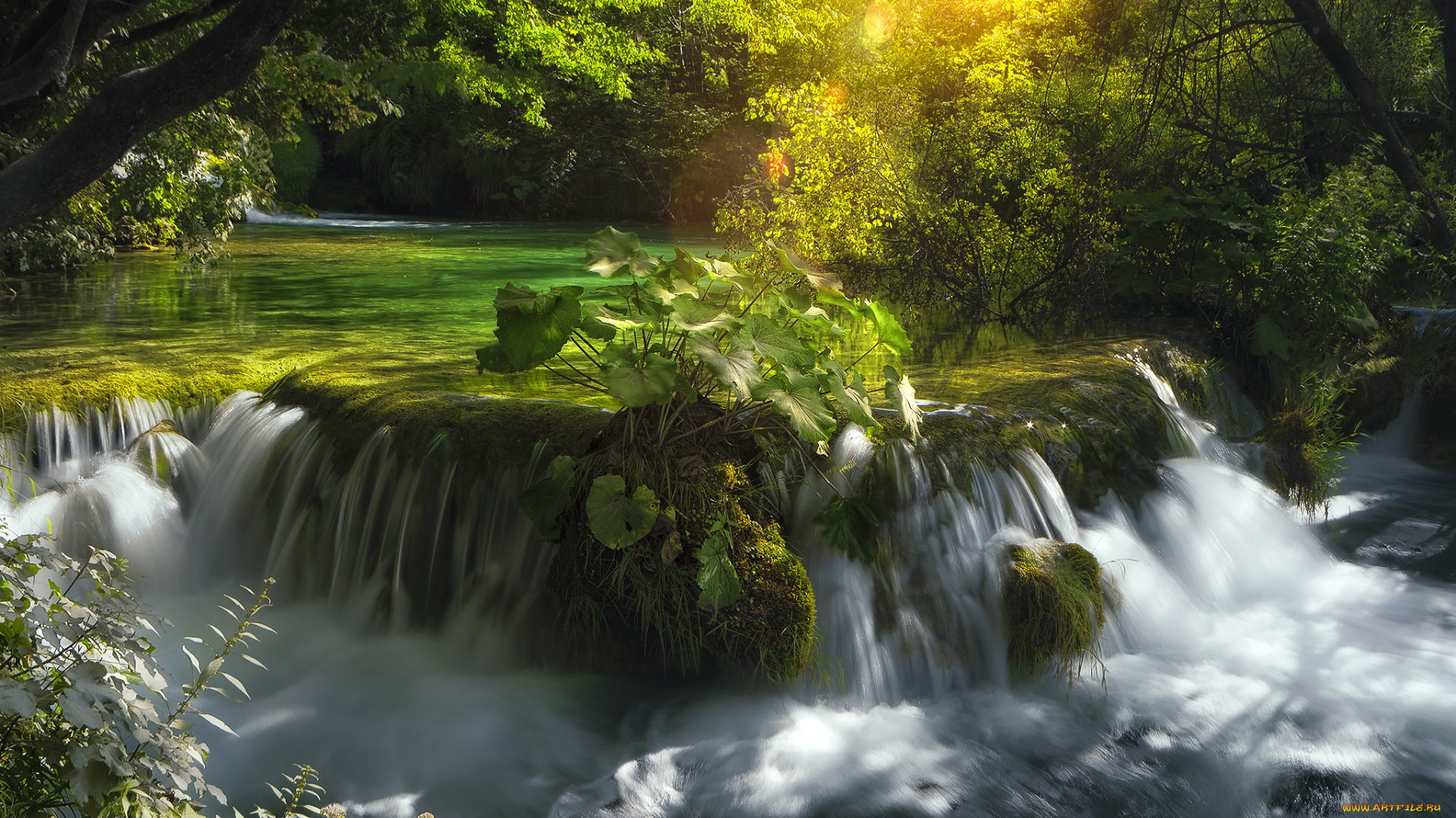 природа, водопады, река, поток, камни