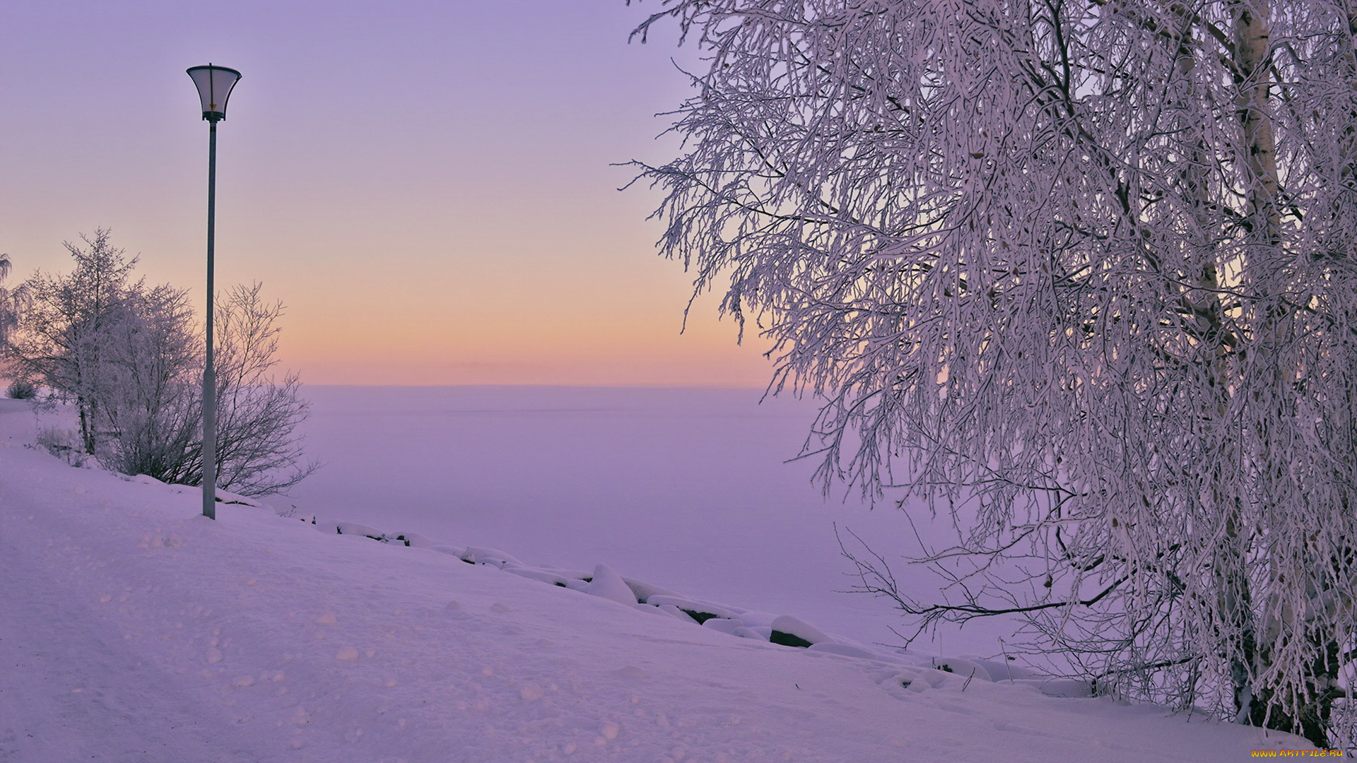 природа, зима, снег, утро