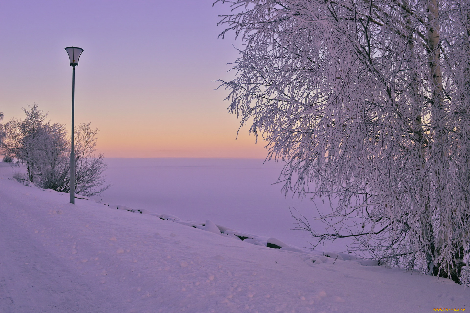 природа, зима, снег, утро