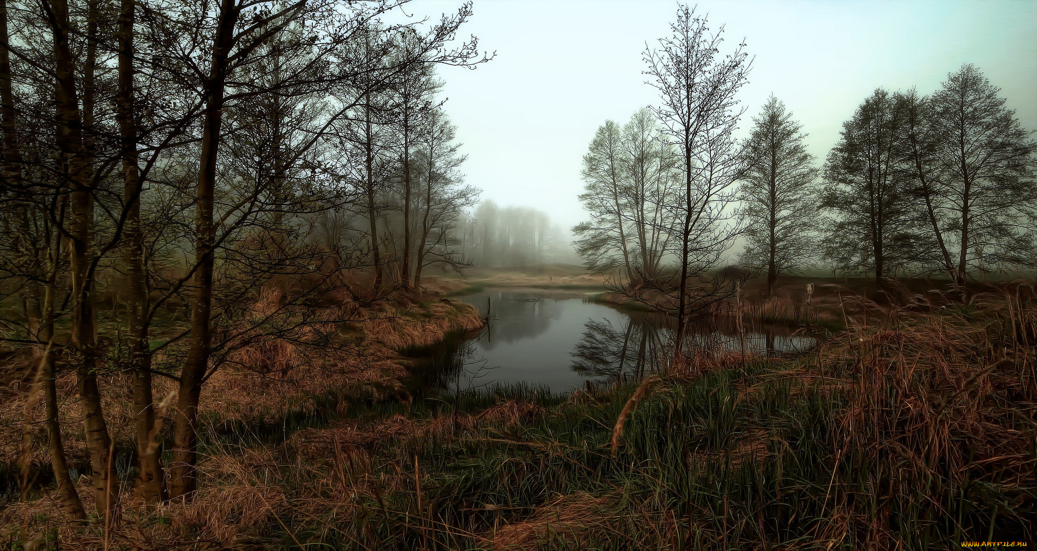 природа, реки, озера, река, лес