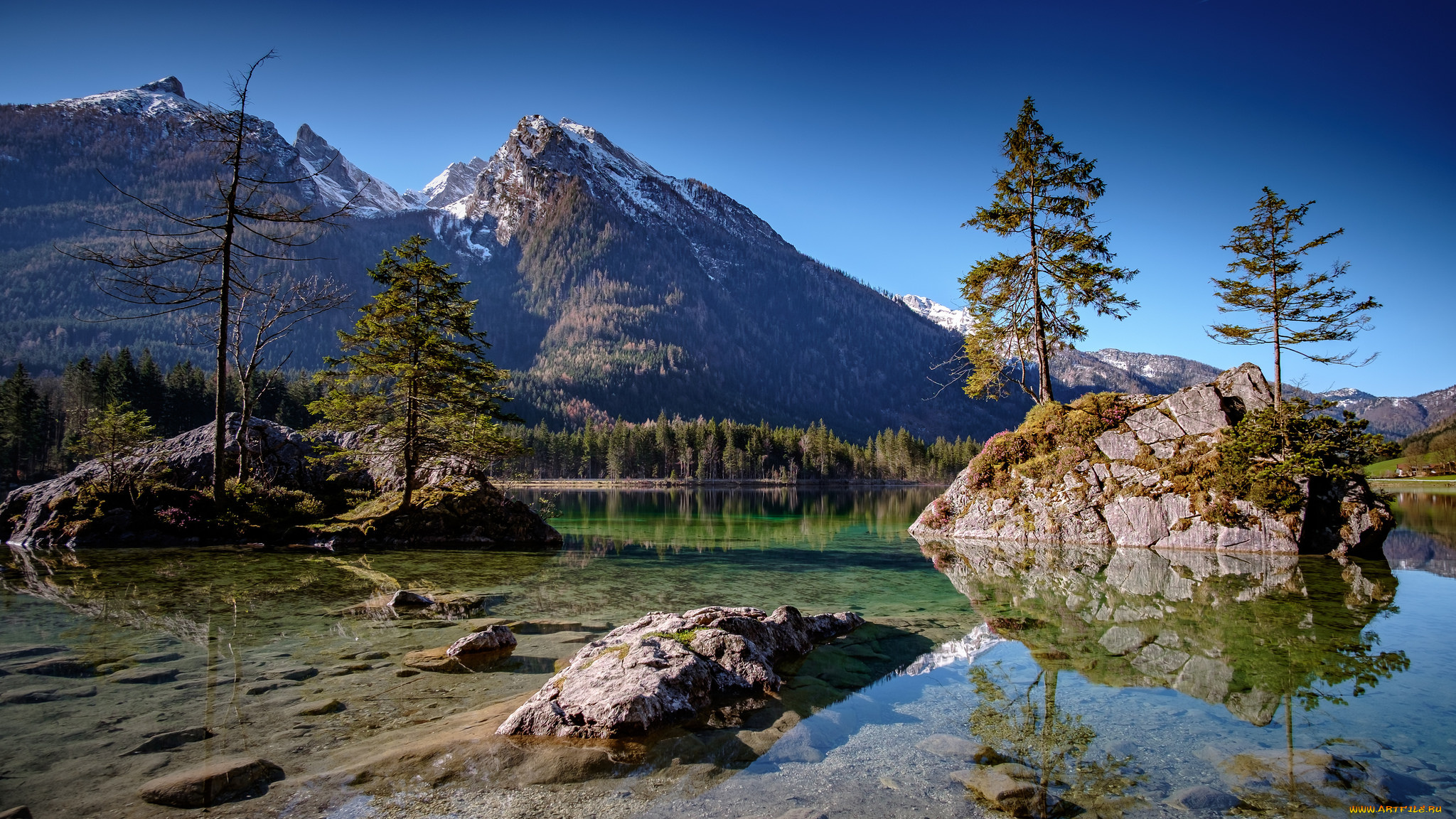 природа, реки, озера, река, лес