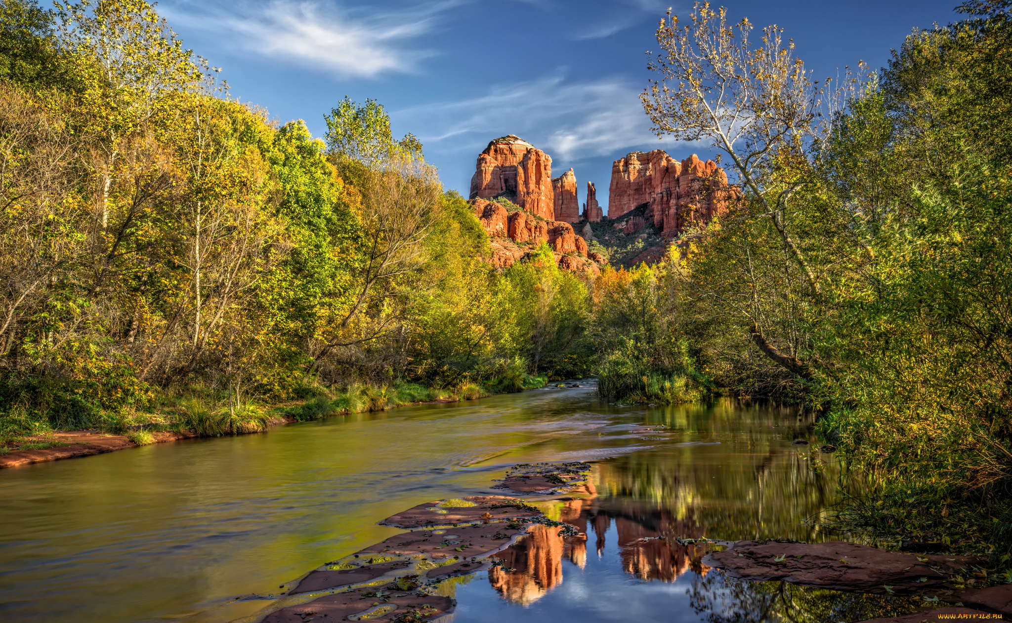 природа, реки, озера, река, лес