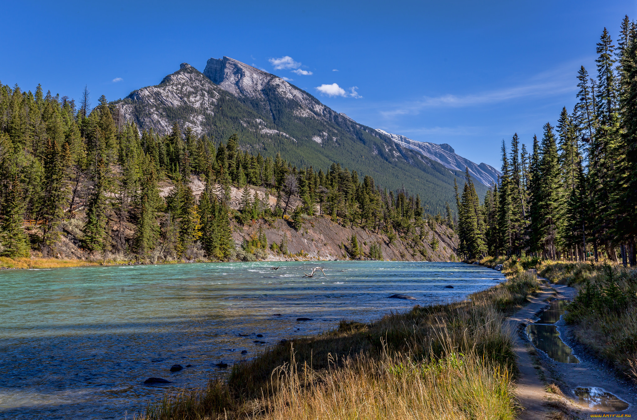 природа, реки, озера, река, лес