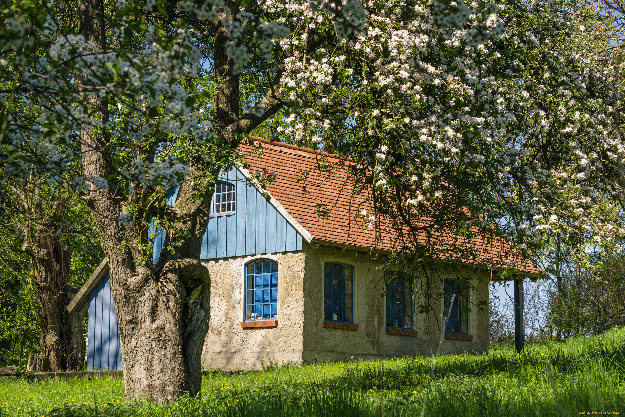 города, -, здания, , дома, дом, загородный