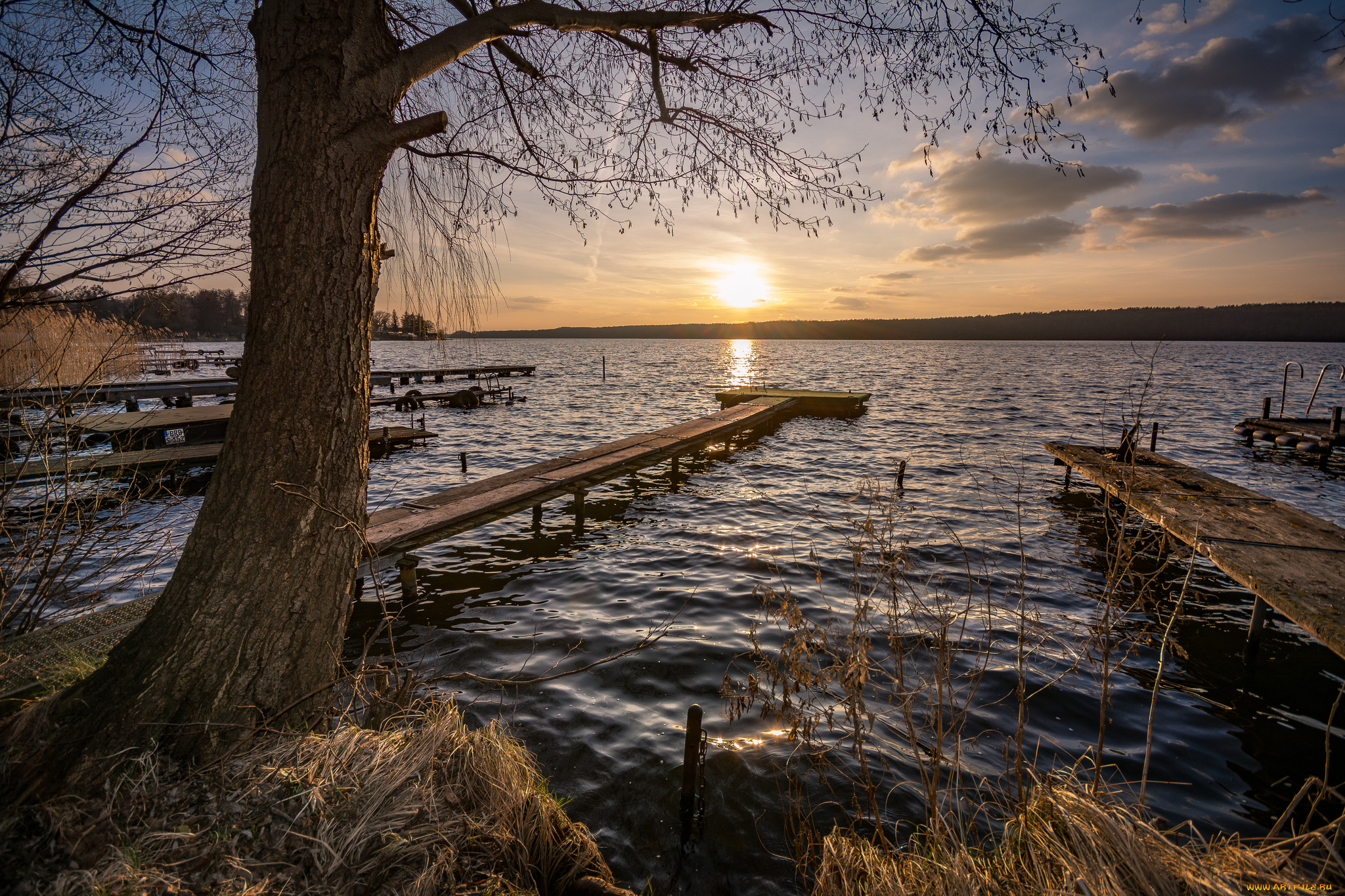 природа, реки, озера, лес, река