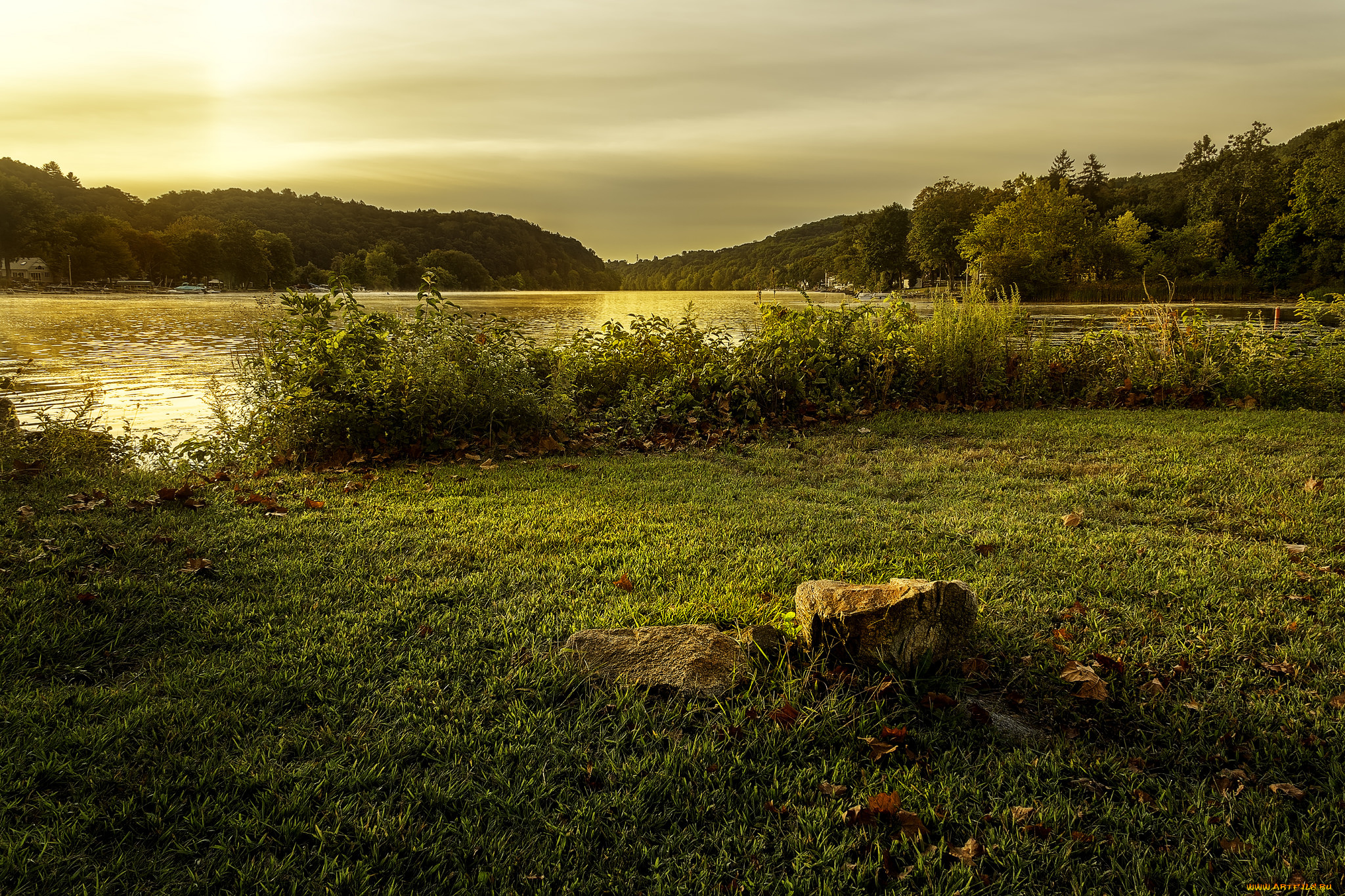 природа, реки, озера, река, лес