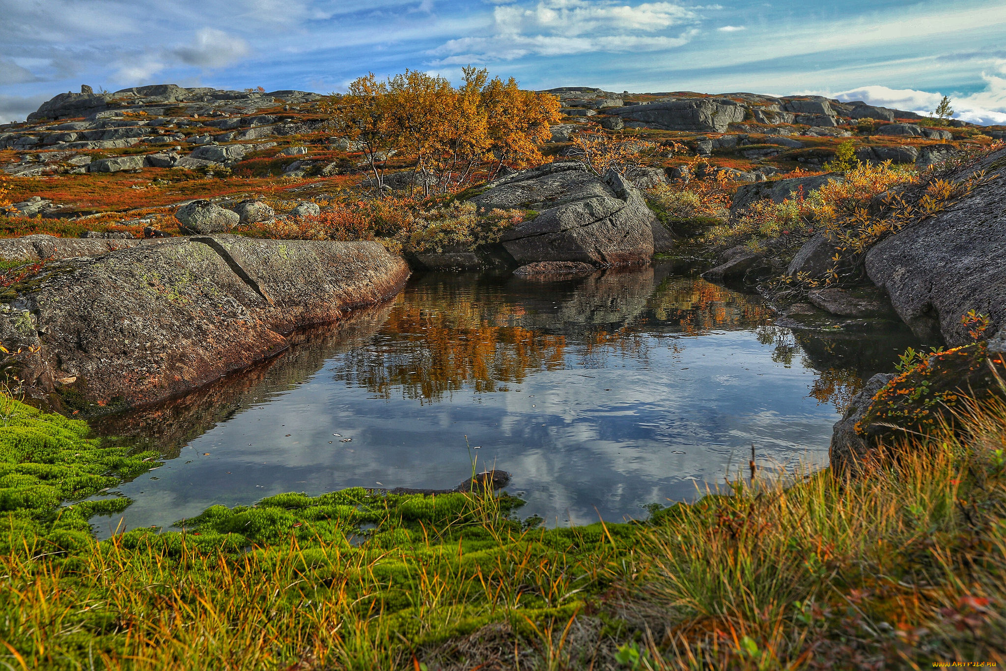 природа, реки, озера, река, лес