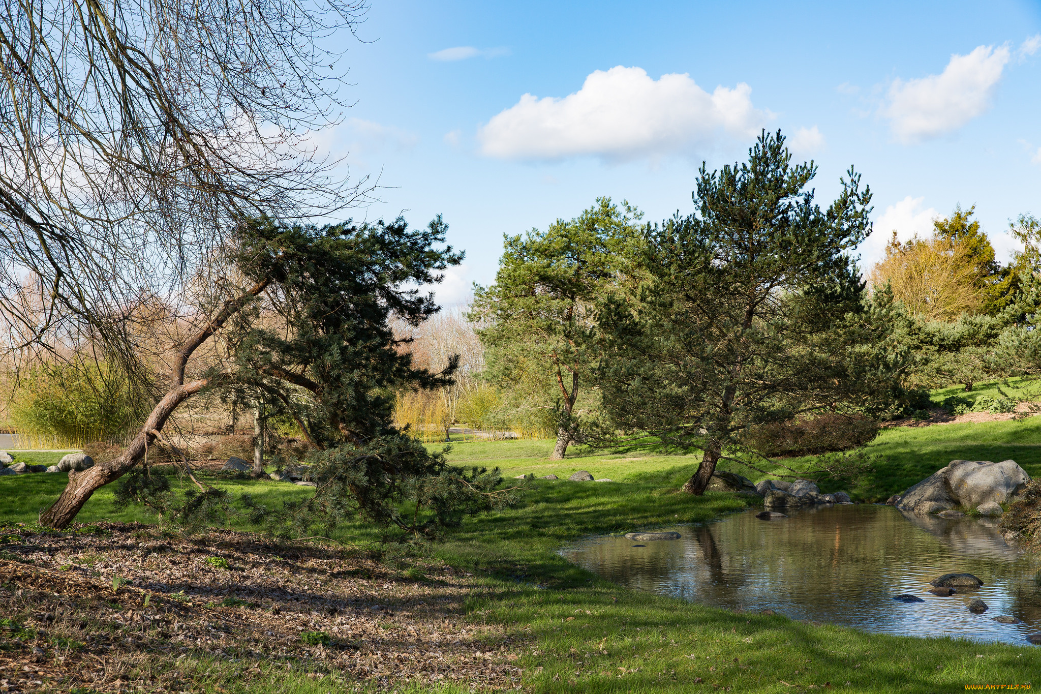 природа, реки, озера, река, лес